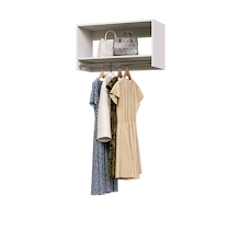 White 31.5 inch tall hanging closet organizer for full-length clothing.
