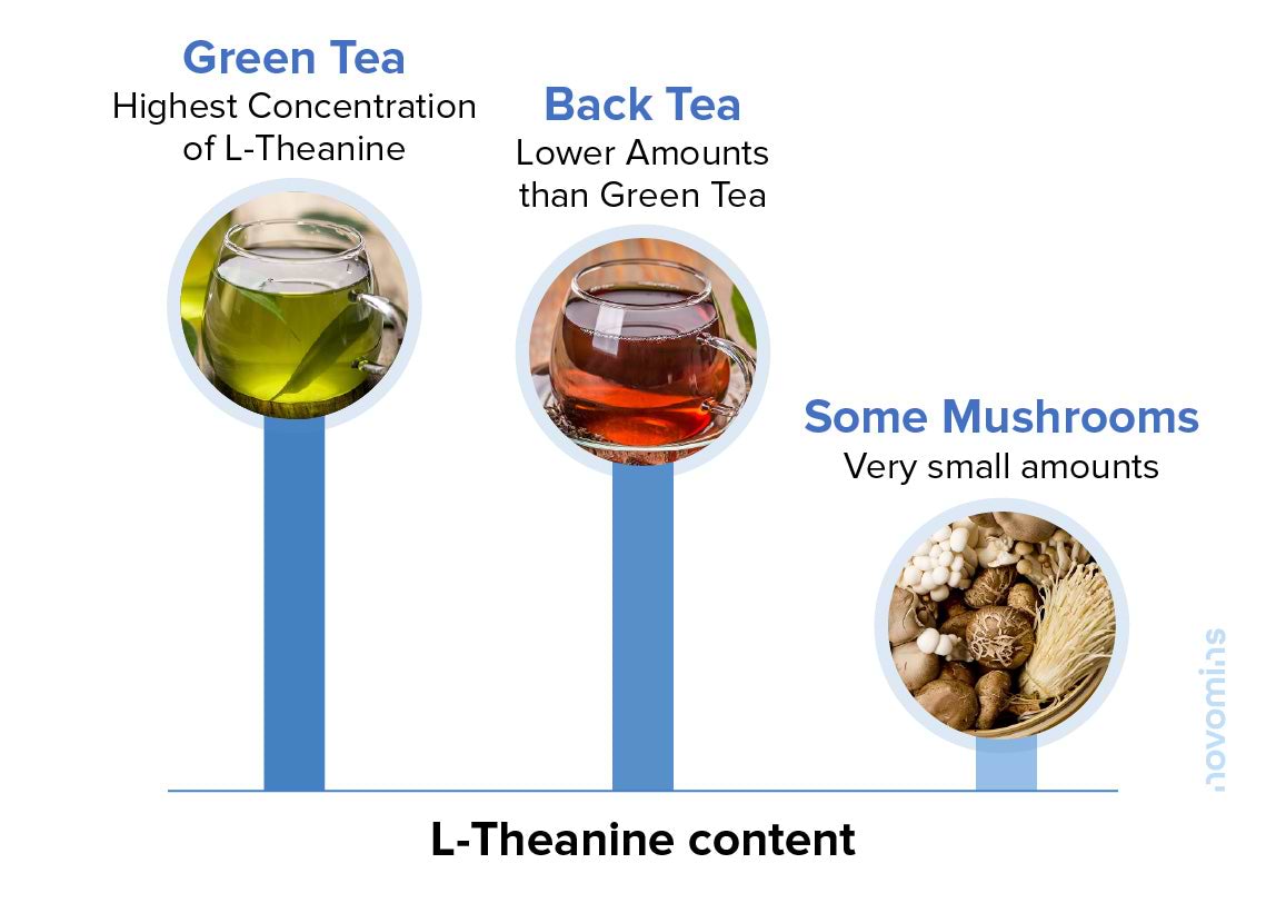L-Theanine Natural Sources