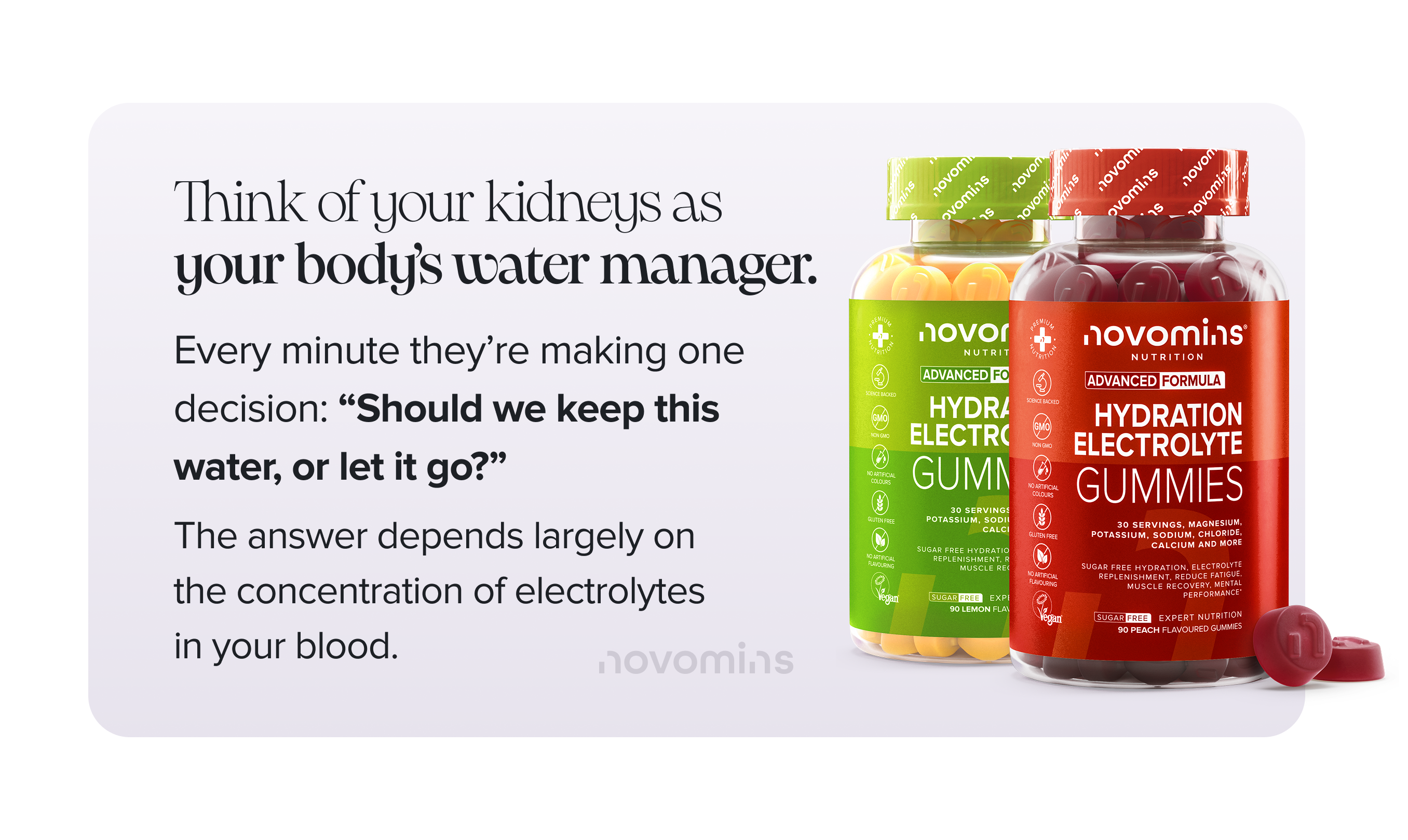 How do the kidneys work?