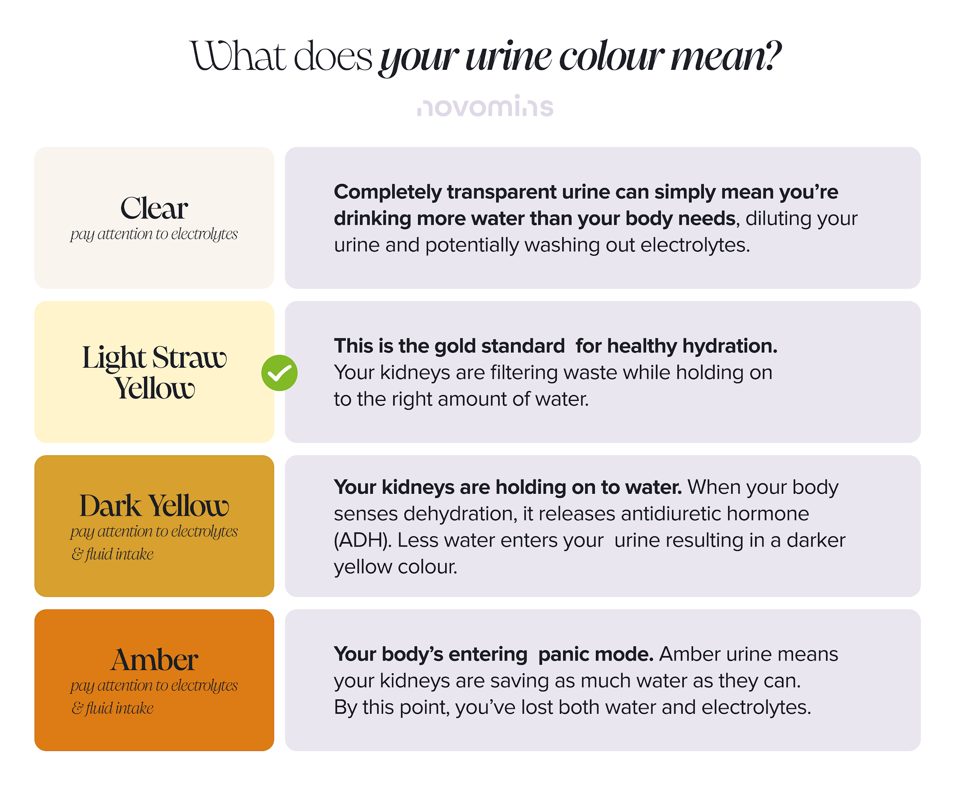 What does your urine colour mean?