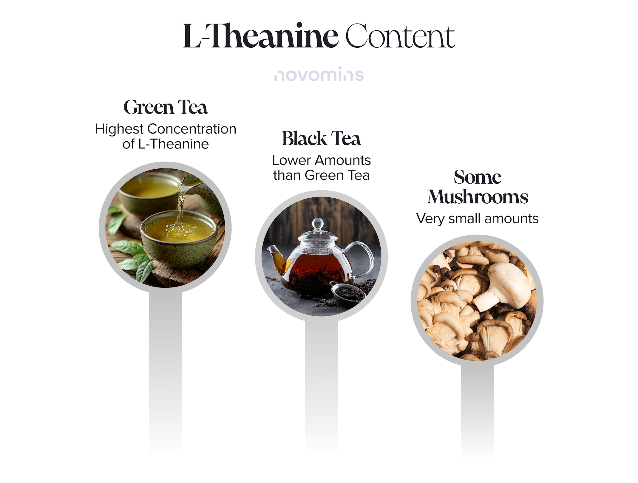 L-Theanine in Diet