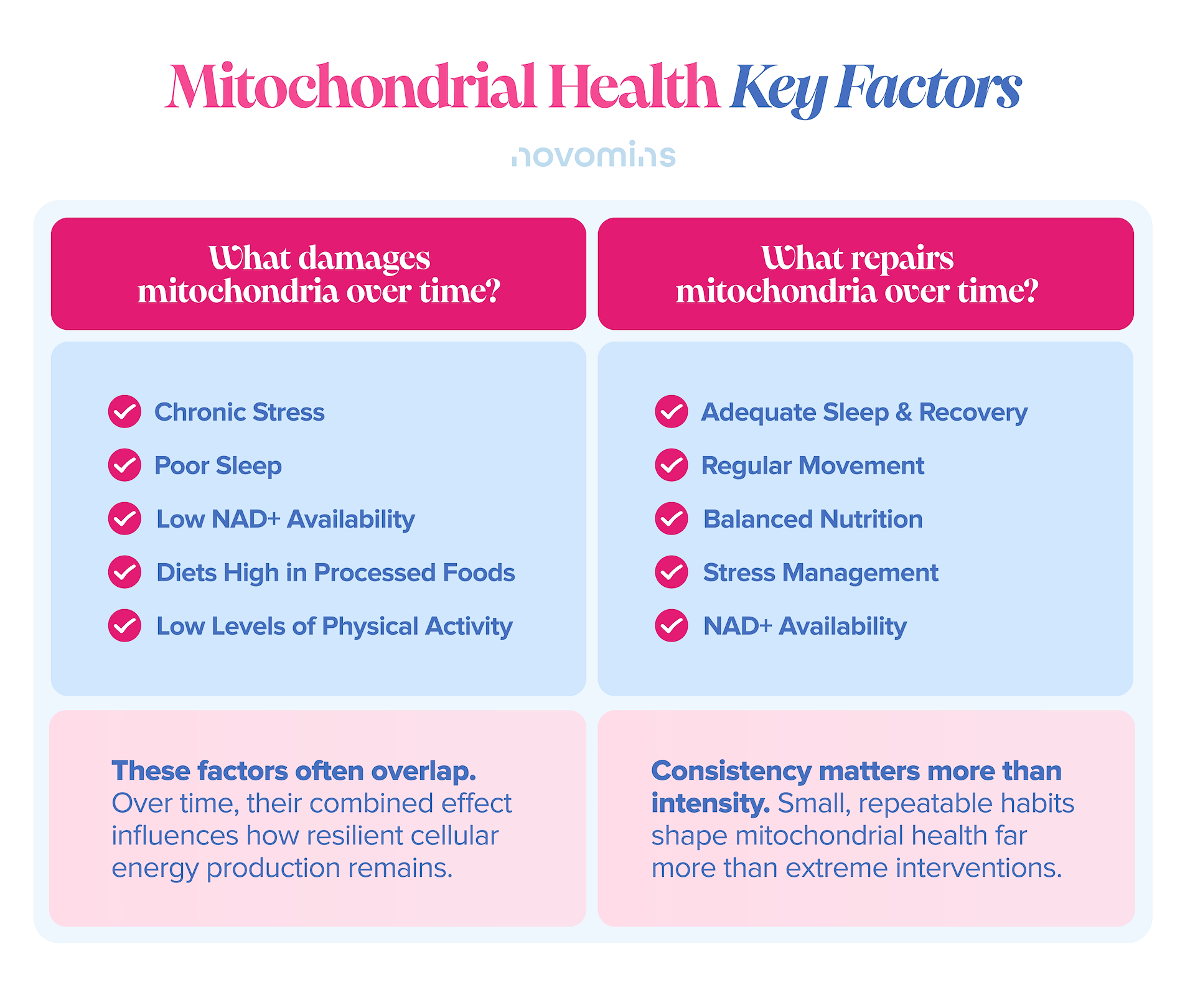 Mitochondrial Health Over Time