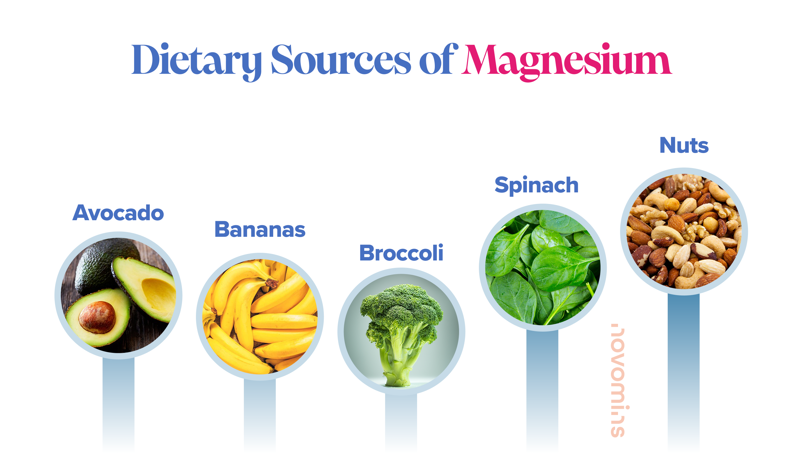 Magnesium. Sources of Magnesium. Magnesium in Diet.