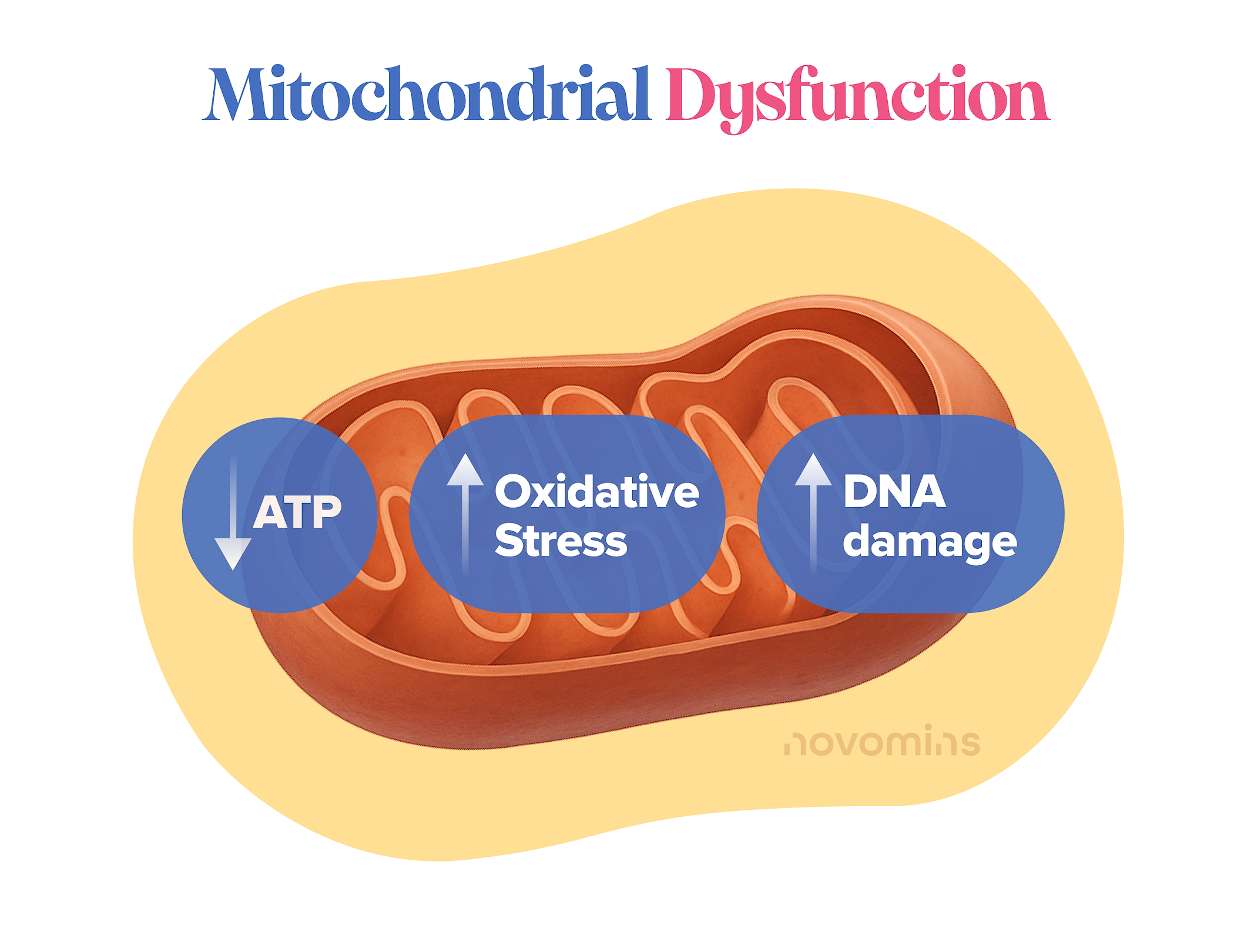 Mitochondrial Dysfunction.