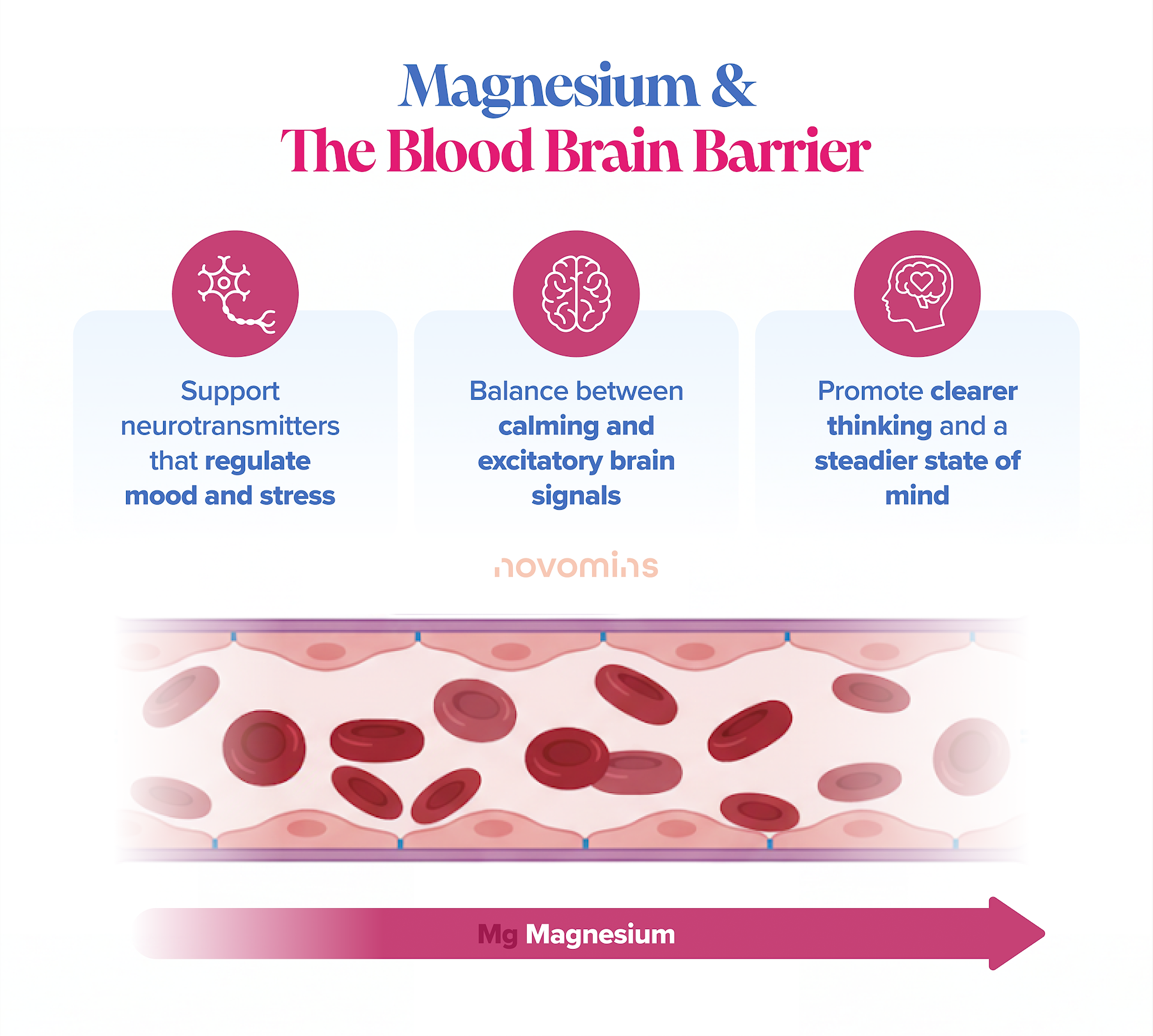 Magnesium Brain Benefits