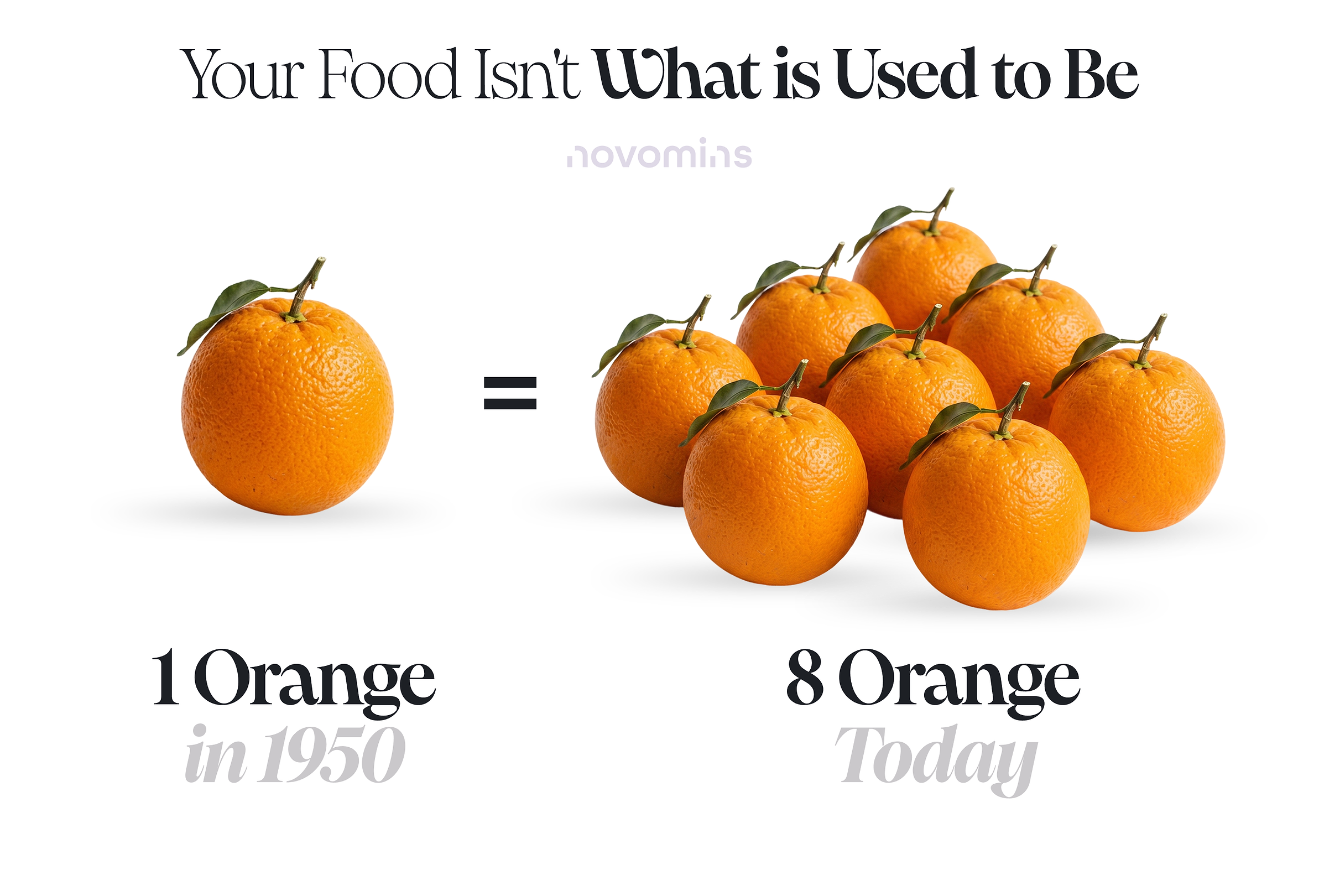 Your Food Isn’t What It Used to Be