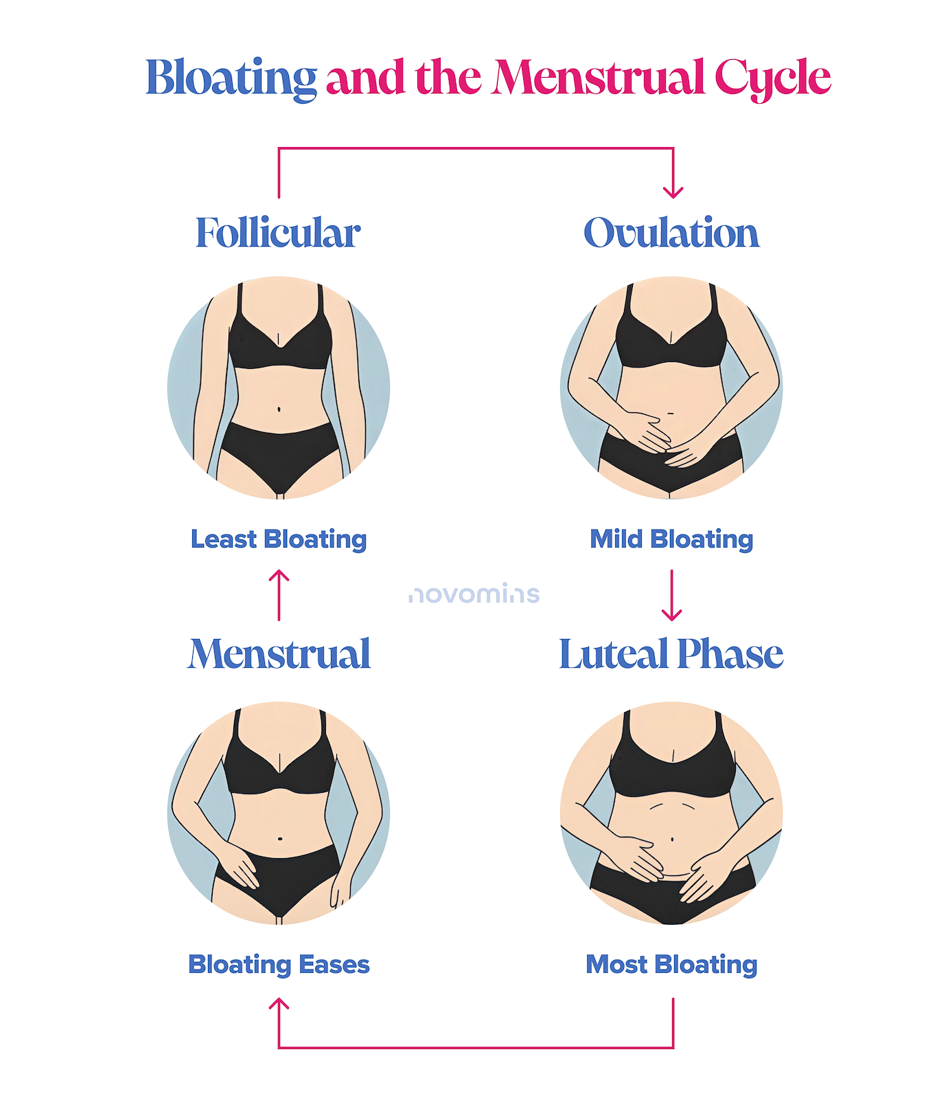 Bloating & The Menstrual Cycle