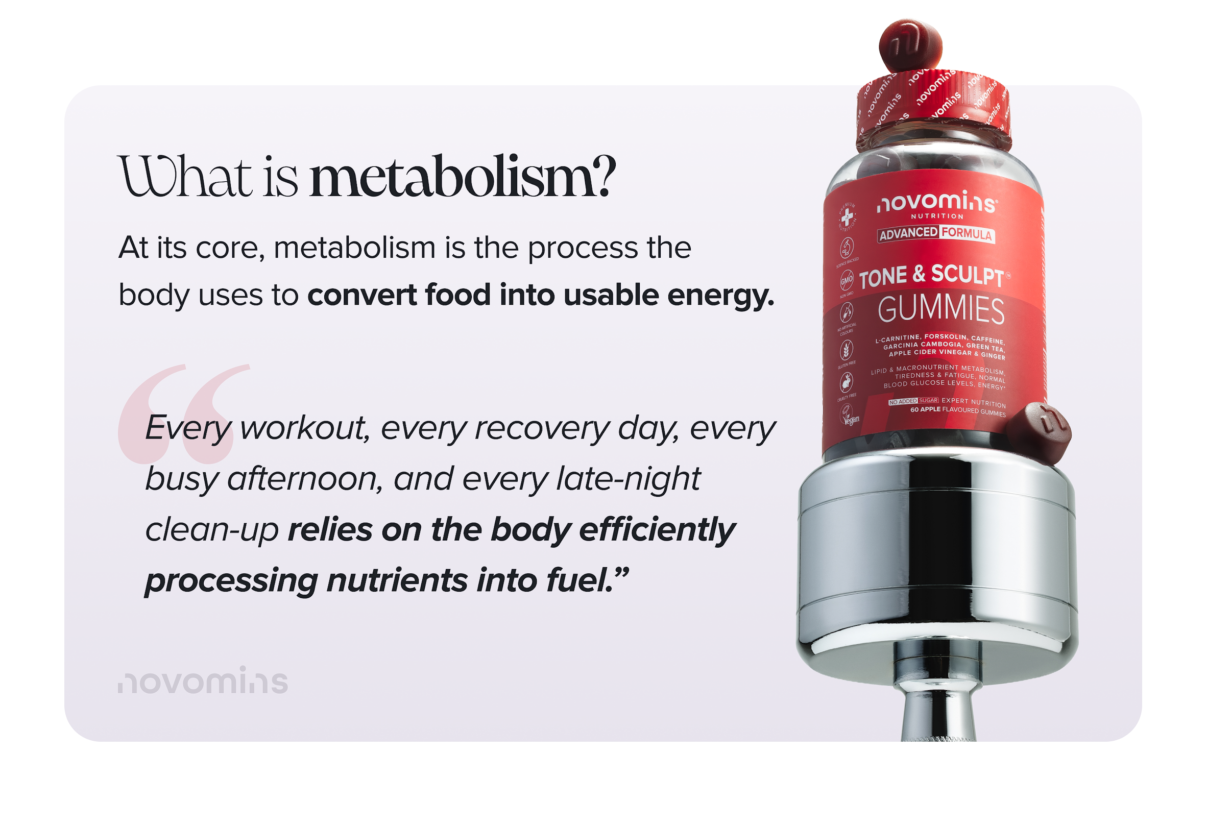 What Is Metabolism?