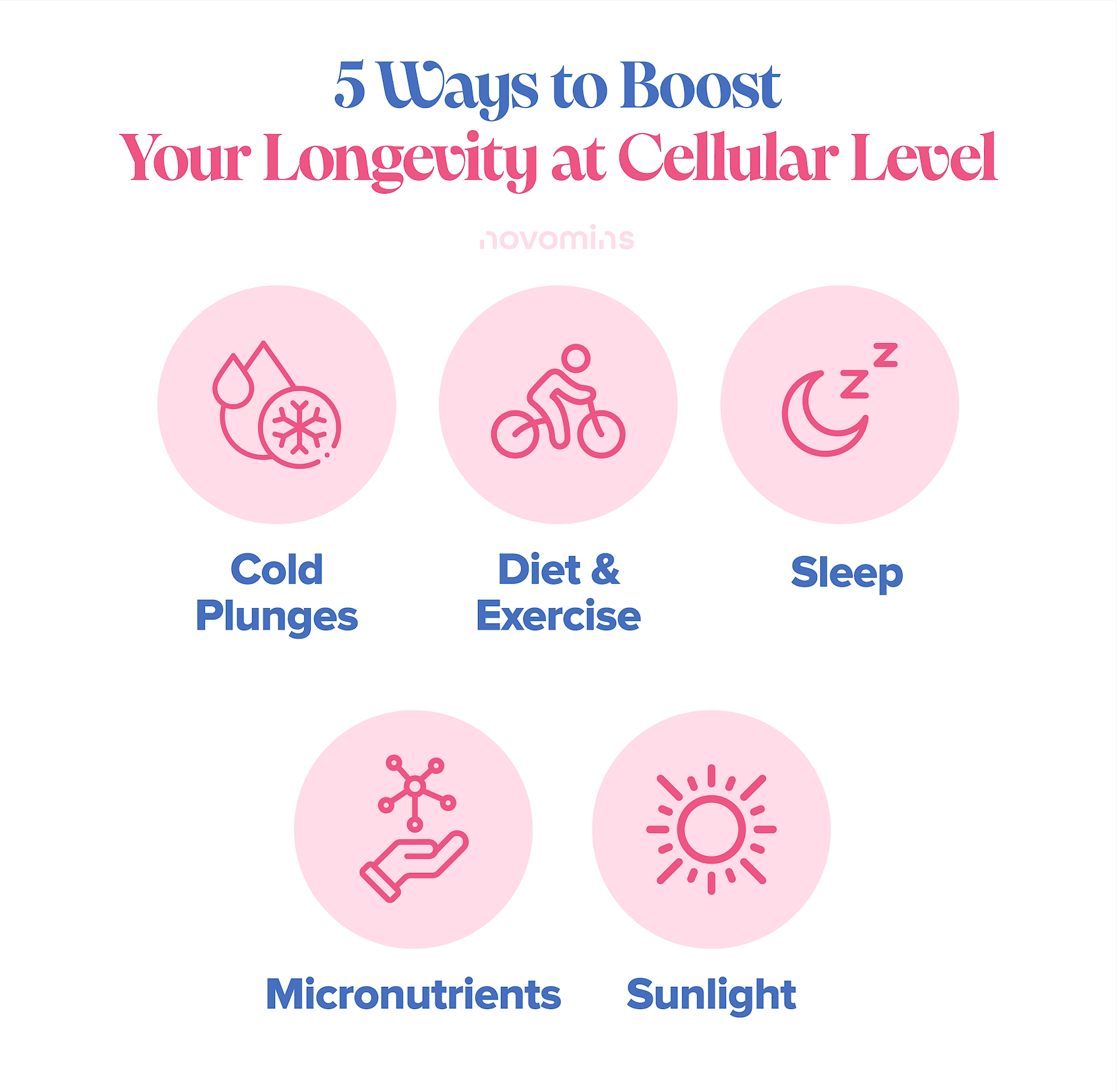 Biohack your cells 5 ways to boost your energy boost your cell health