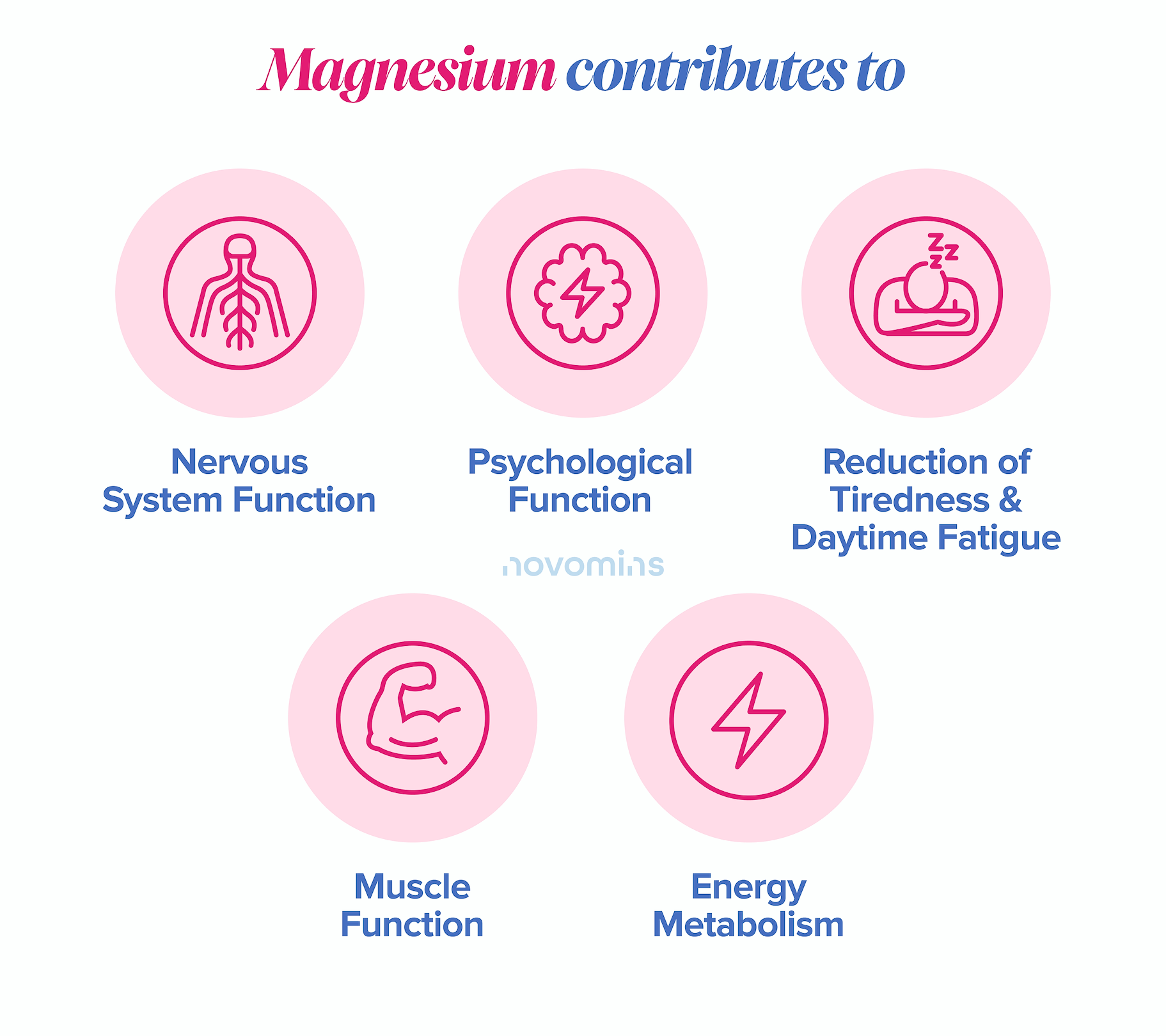 Magnesium's Role in the Body
