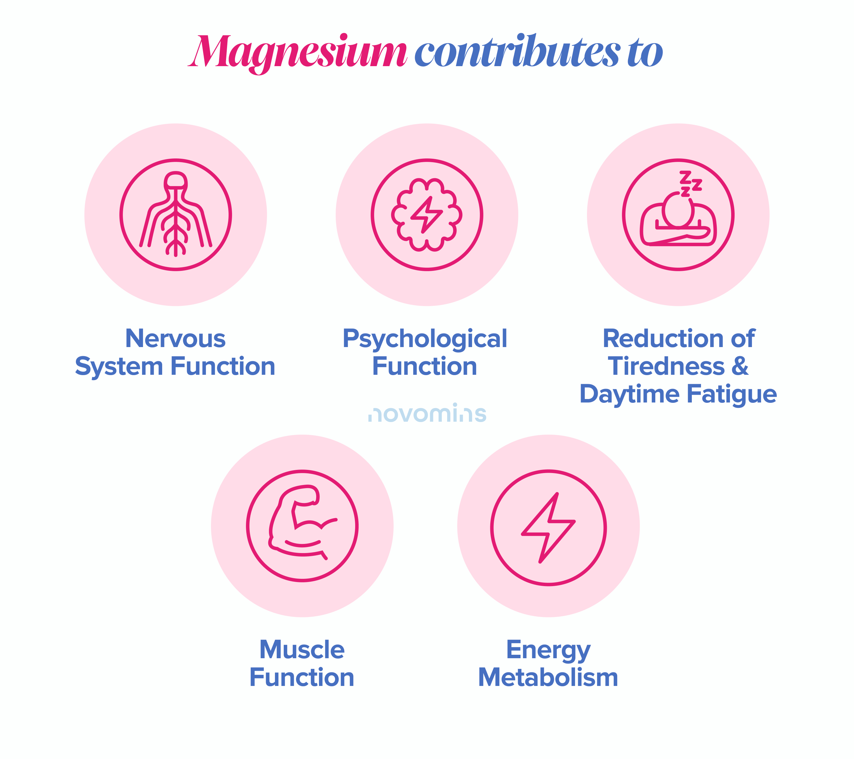 Magnesium's Role in the Body