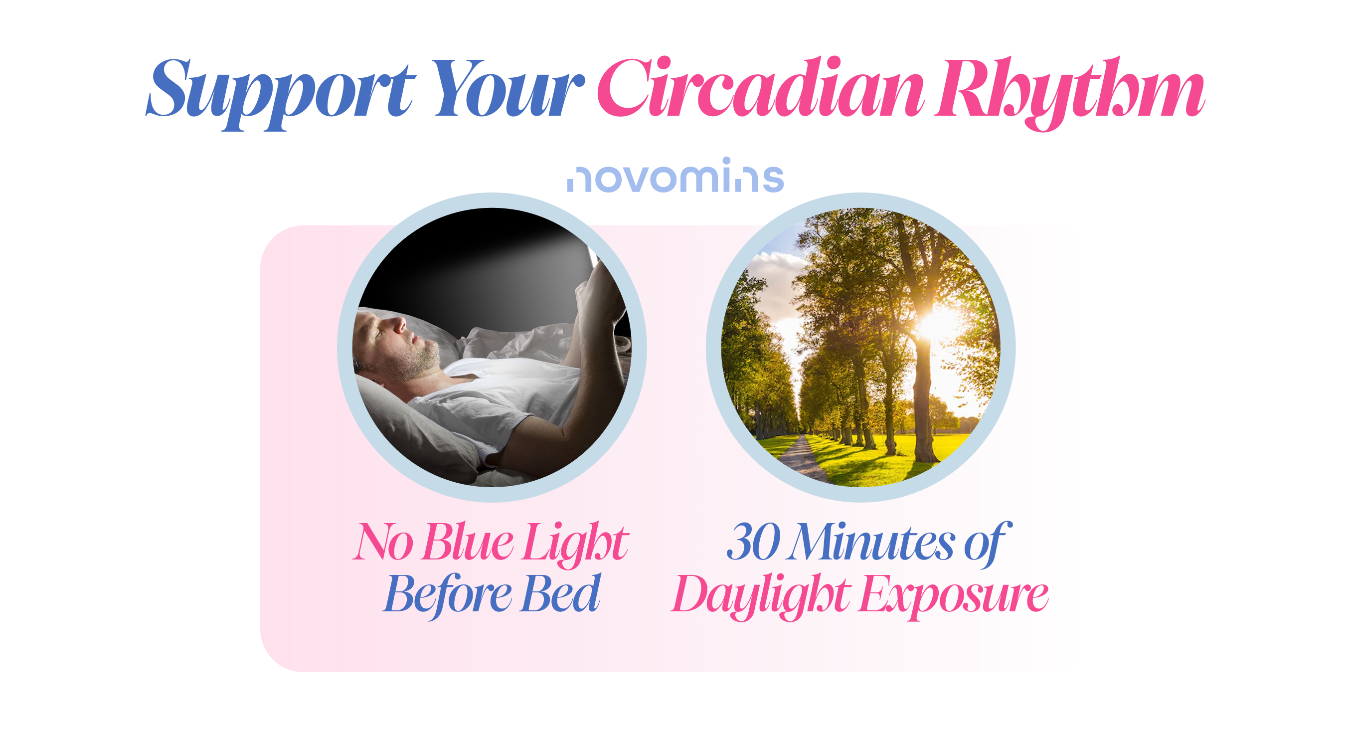 circadian rhythm
