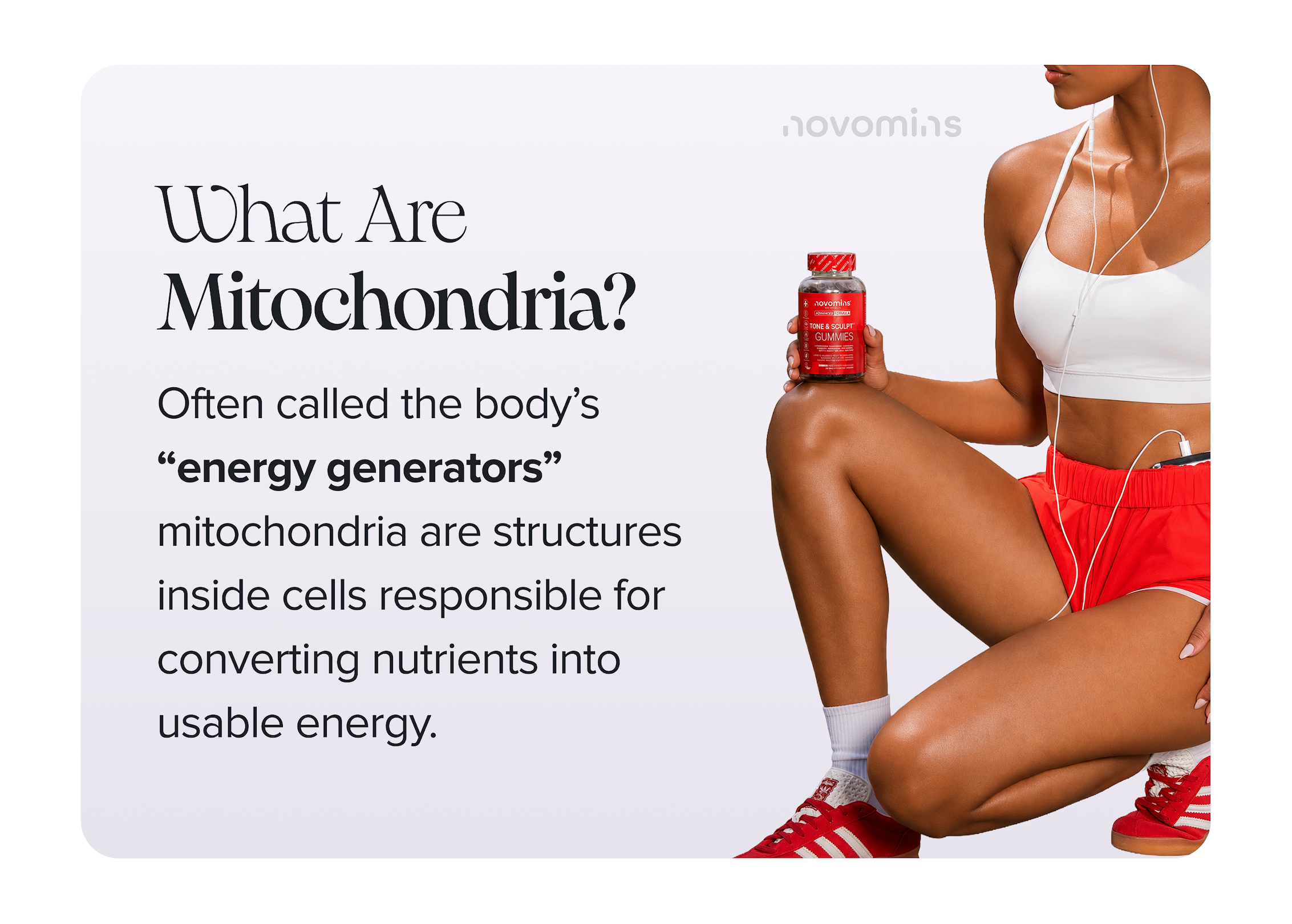 What Are Mitochondria?