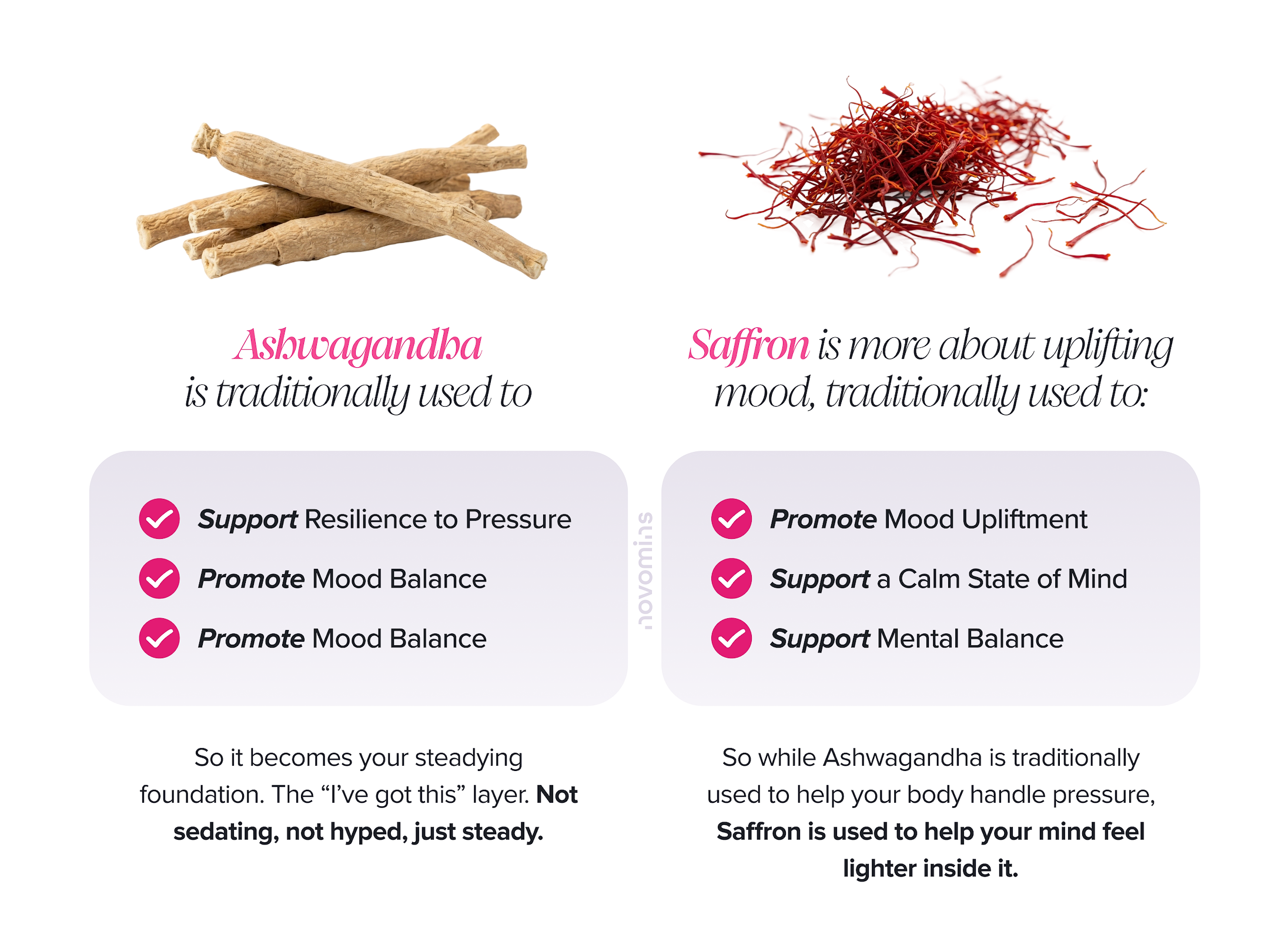 Mental Resilience Bundle