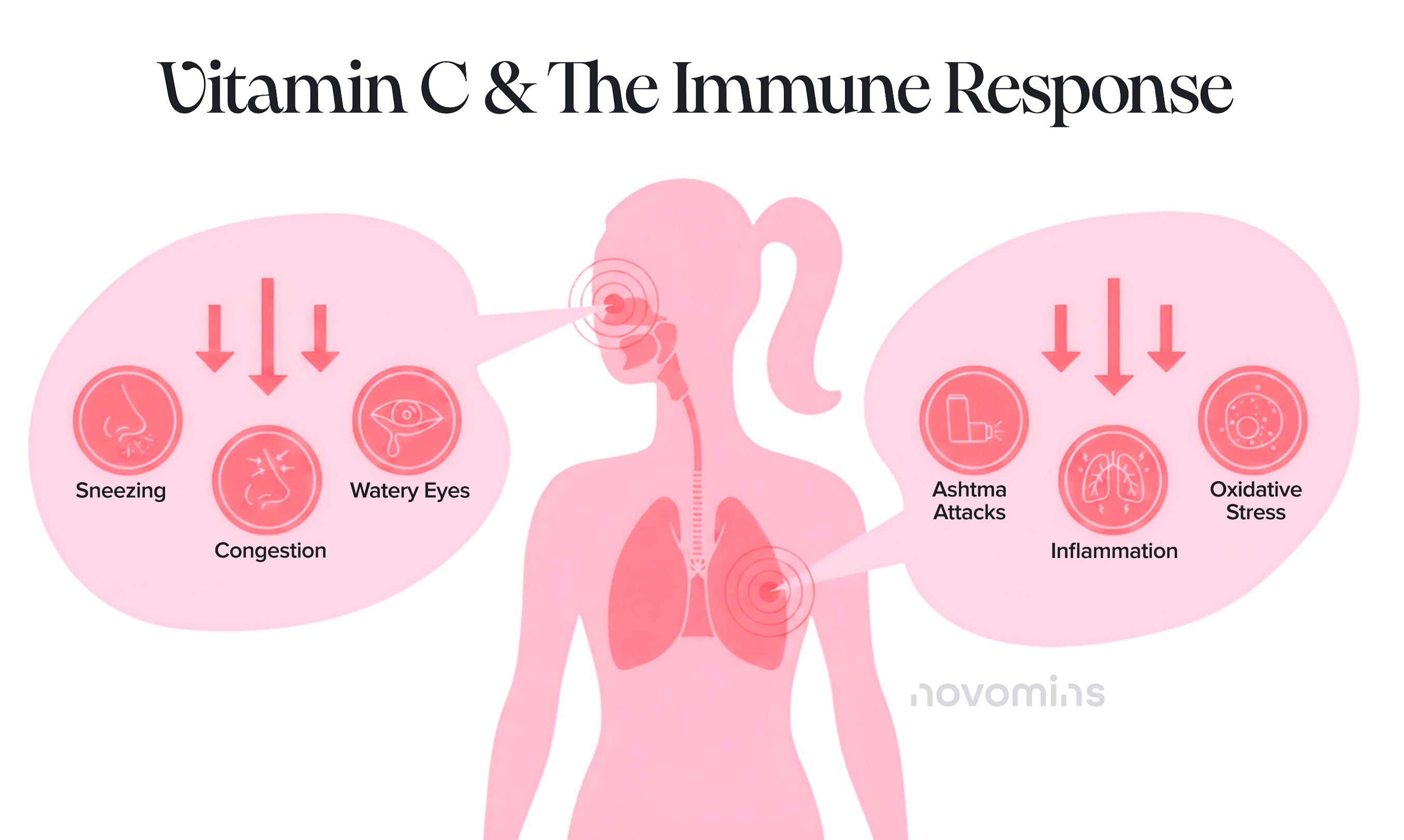 Vitamin C & The Immune Response