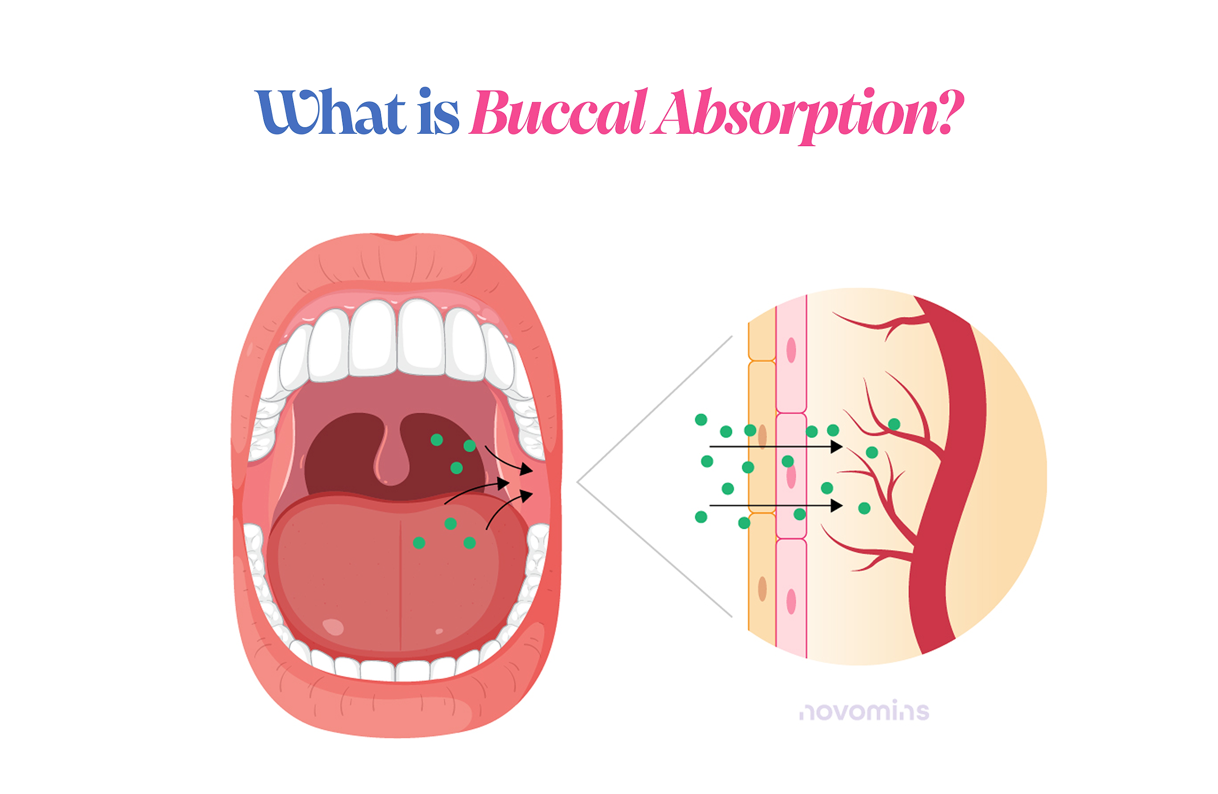 Buccal Absorption