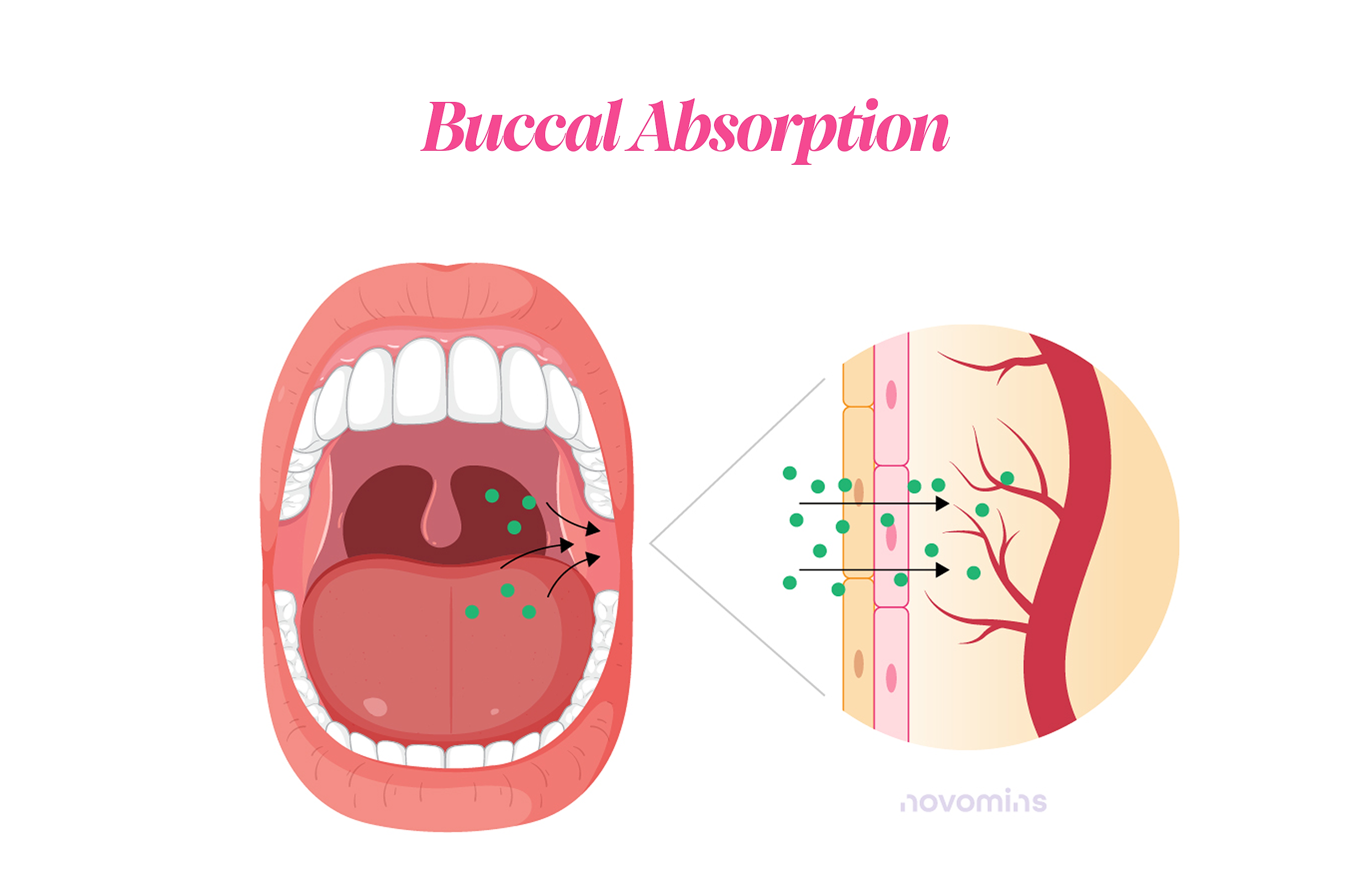 Buccal Absorption