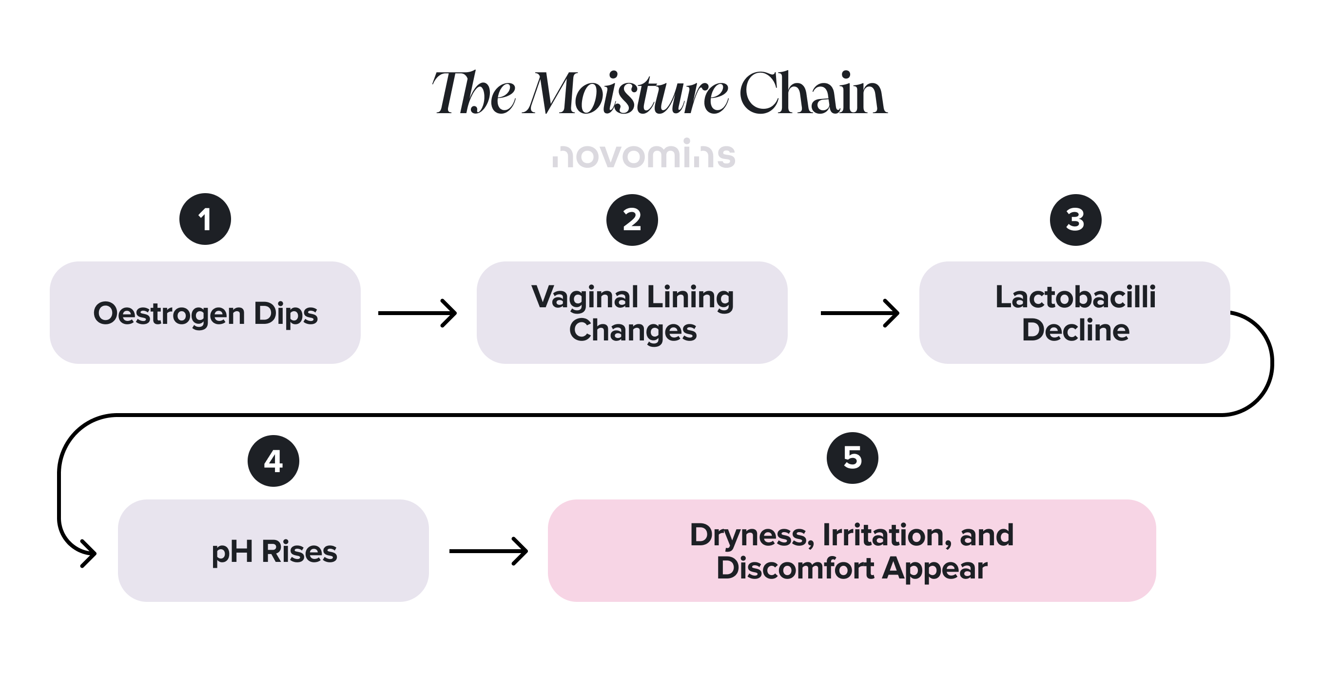 The Intimate Moisture Chain