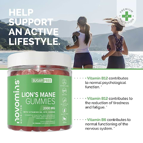 Explainer graphic describing what vitamin and minerals are in Novomins Lions Mane Gummies