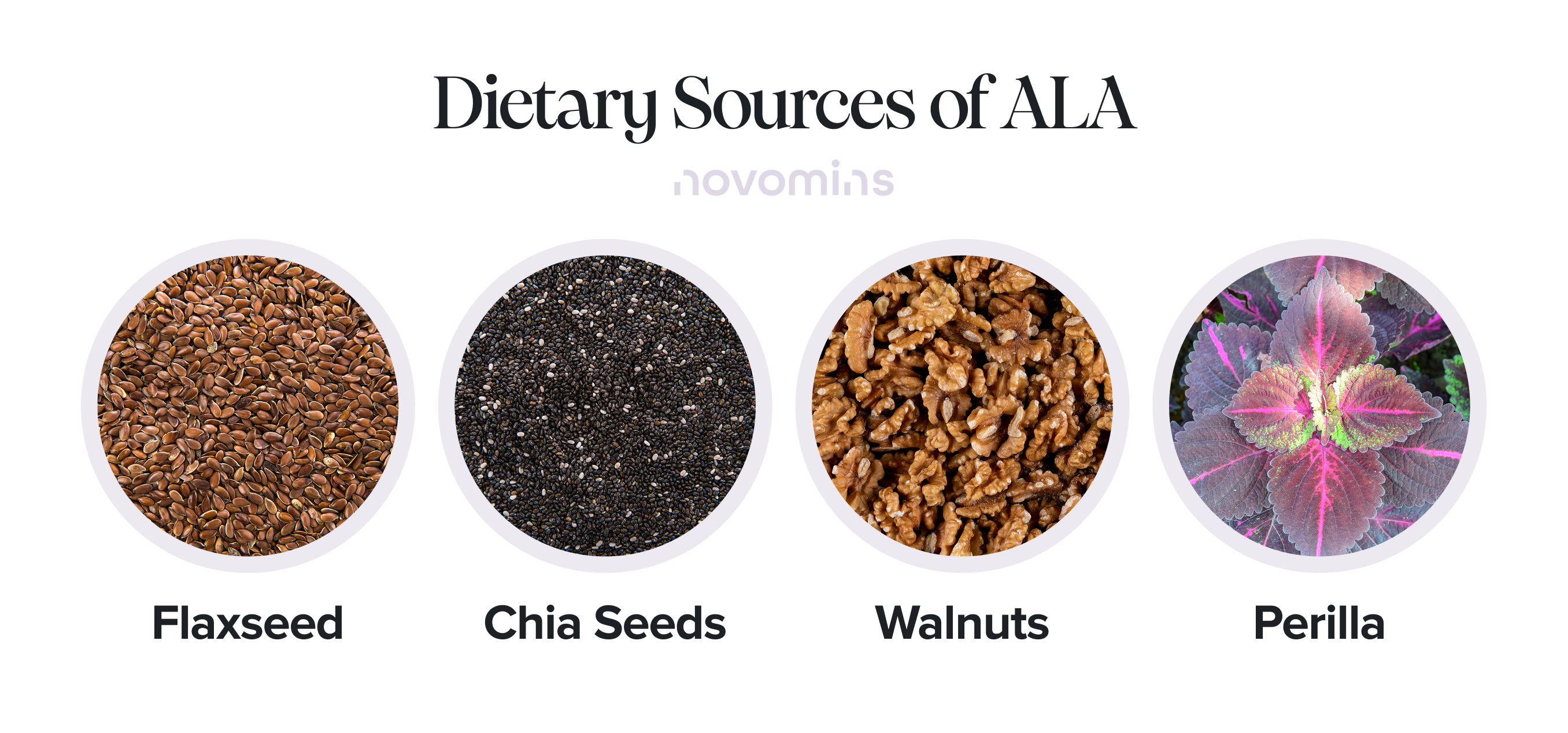 Foods High in ALA