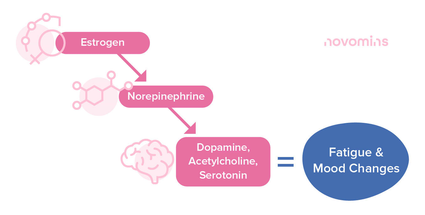 Hormone fluctuation diagram showing estrogen drop