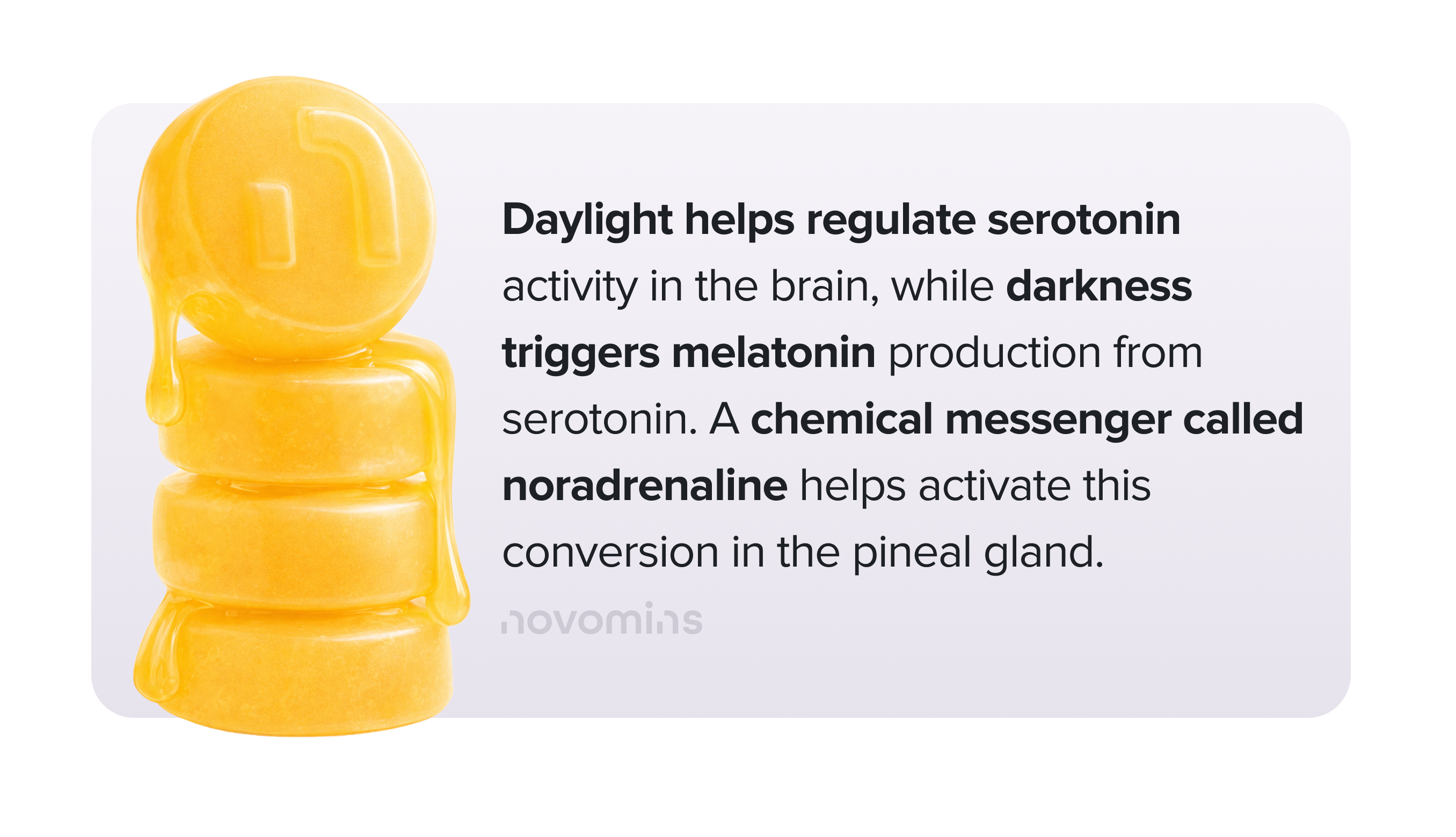 Serotonin, Melatonin and Vitamin D