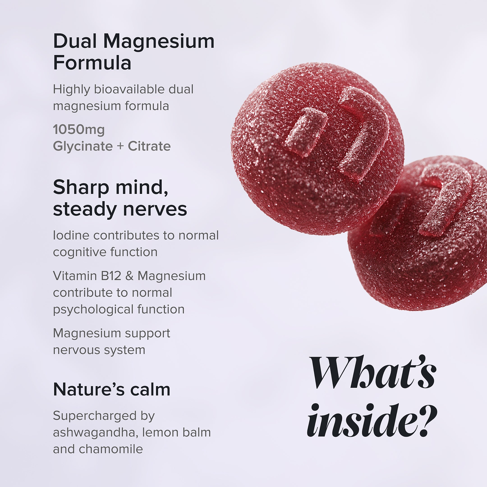 Promotional product graphic for a dual magnesium supplement. The left side features white text detailing the 'Dual Magnesium Formula' with benefits for cognitive function and nervous system support, alongside the question 'What's inside?'.