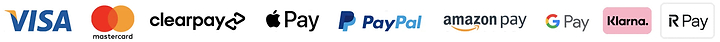 pay icon