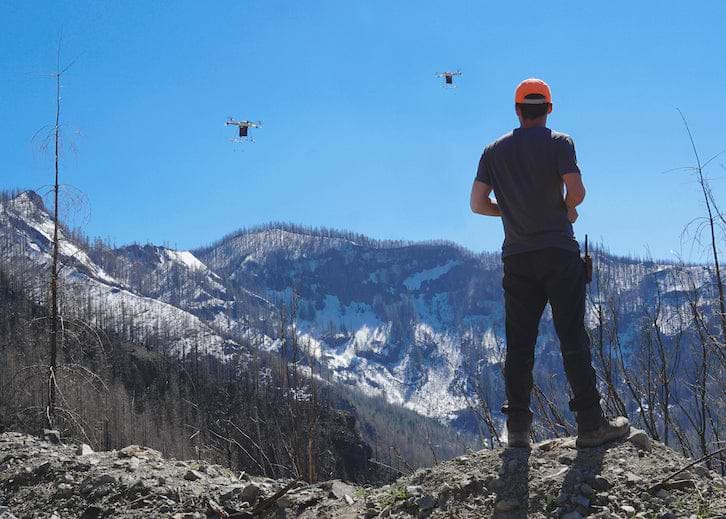 Drones sobre un bosque