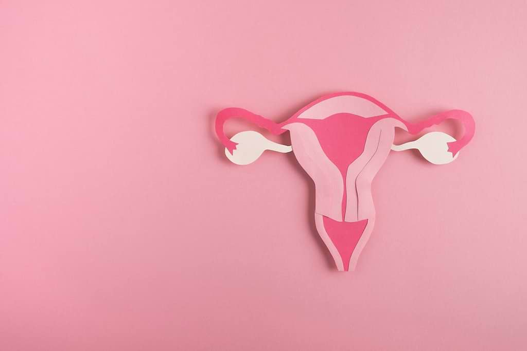 5 Truths & 1 Lie About Vaginal Health
