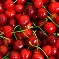 Acerola Cherry