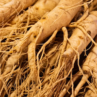 Estratto di radice di ginseng