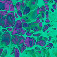 Pantothenic Acid