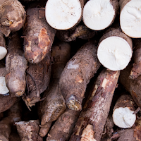 Yam