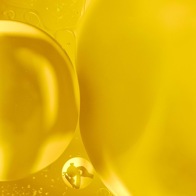Co-Enzyme Q10