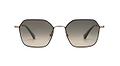 HUDSON SUN