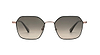 HUDSON SUN