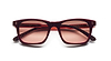 BOGARDE SUN