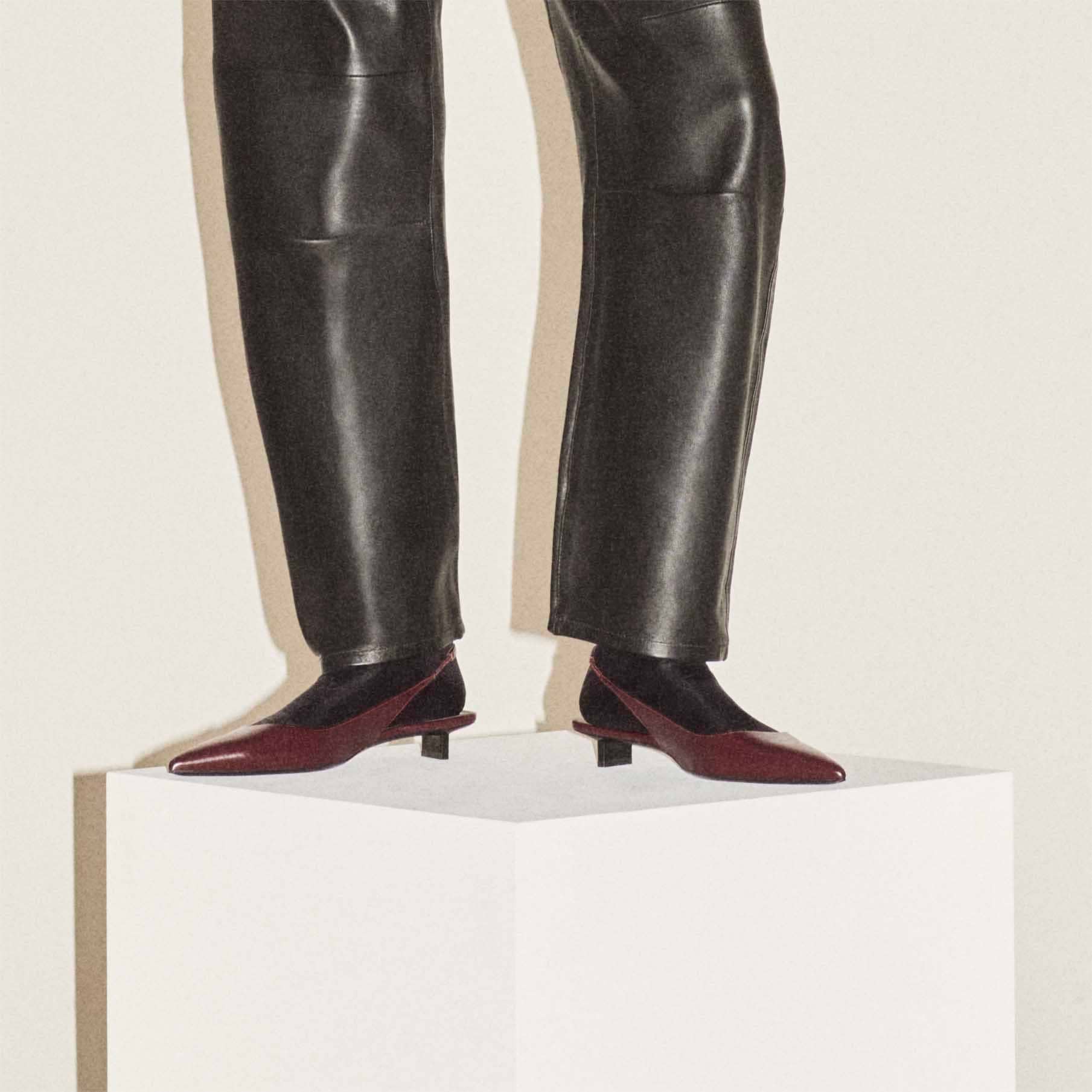 Pierre Hardy ESCARPIN SLINGBACK STELLA, cuir de veau craquelé bordeaux, vue 6