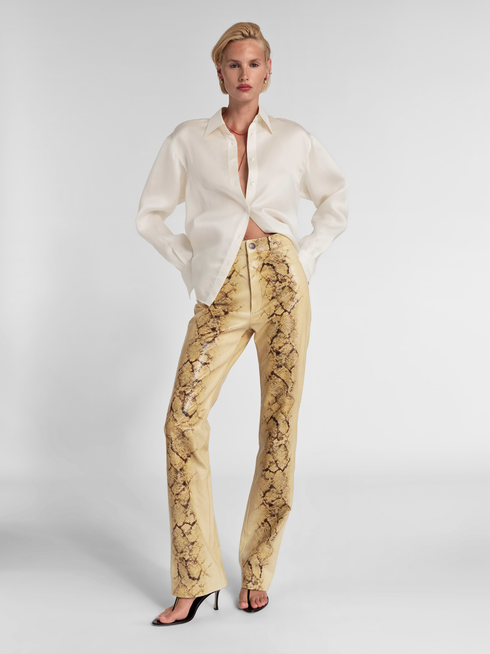Brontë Pant in Python
