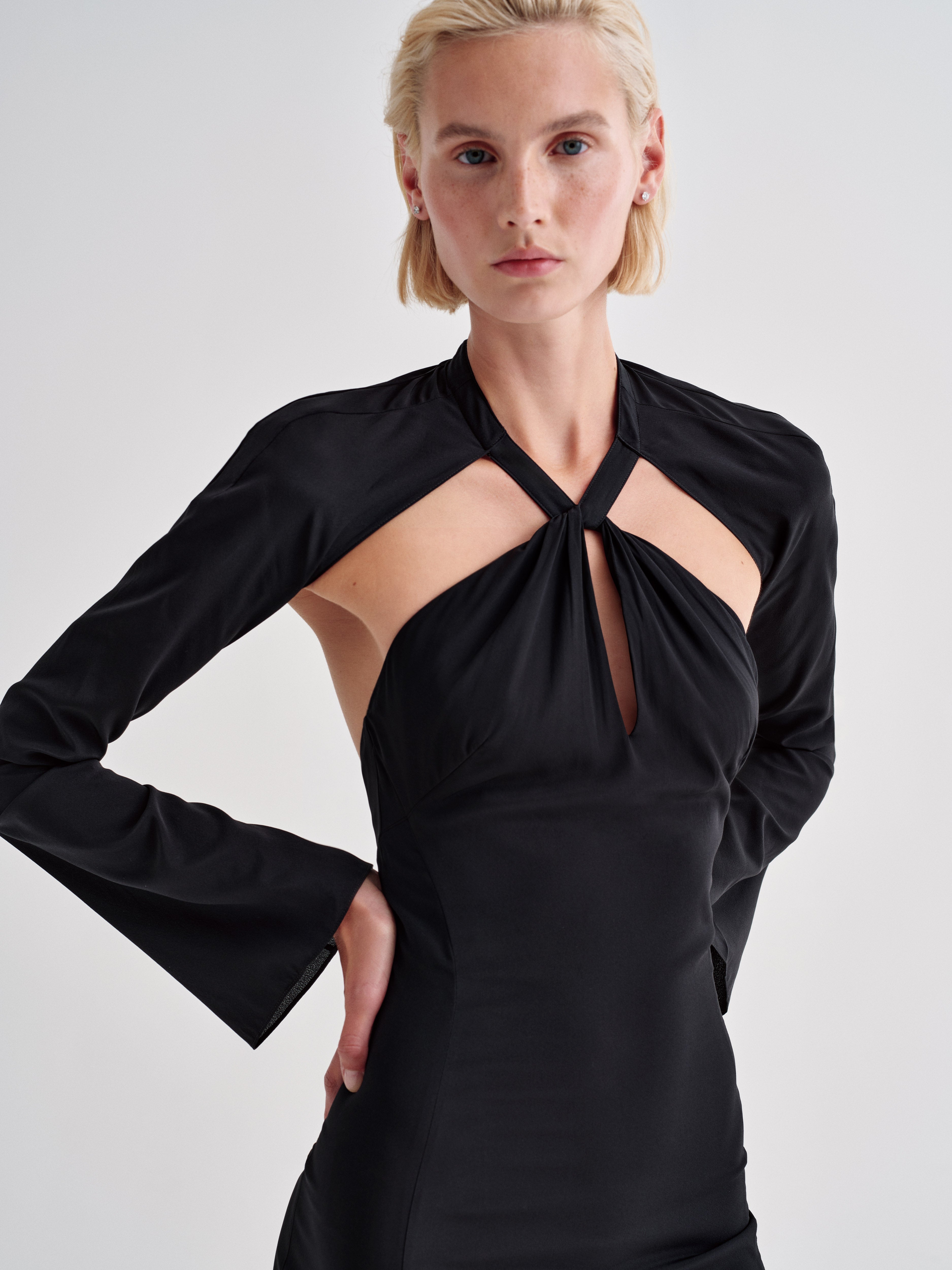 Lebella Dress in Silk