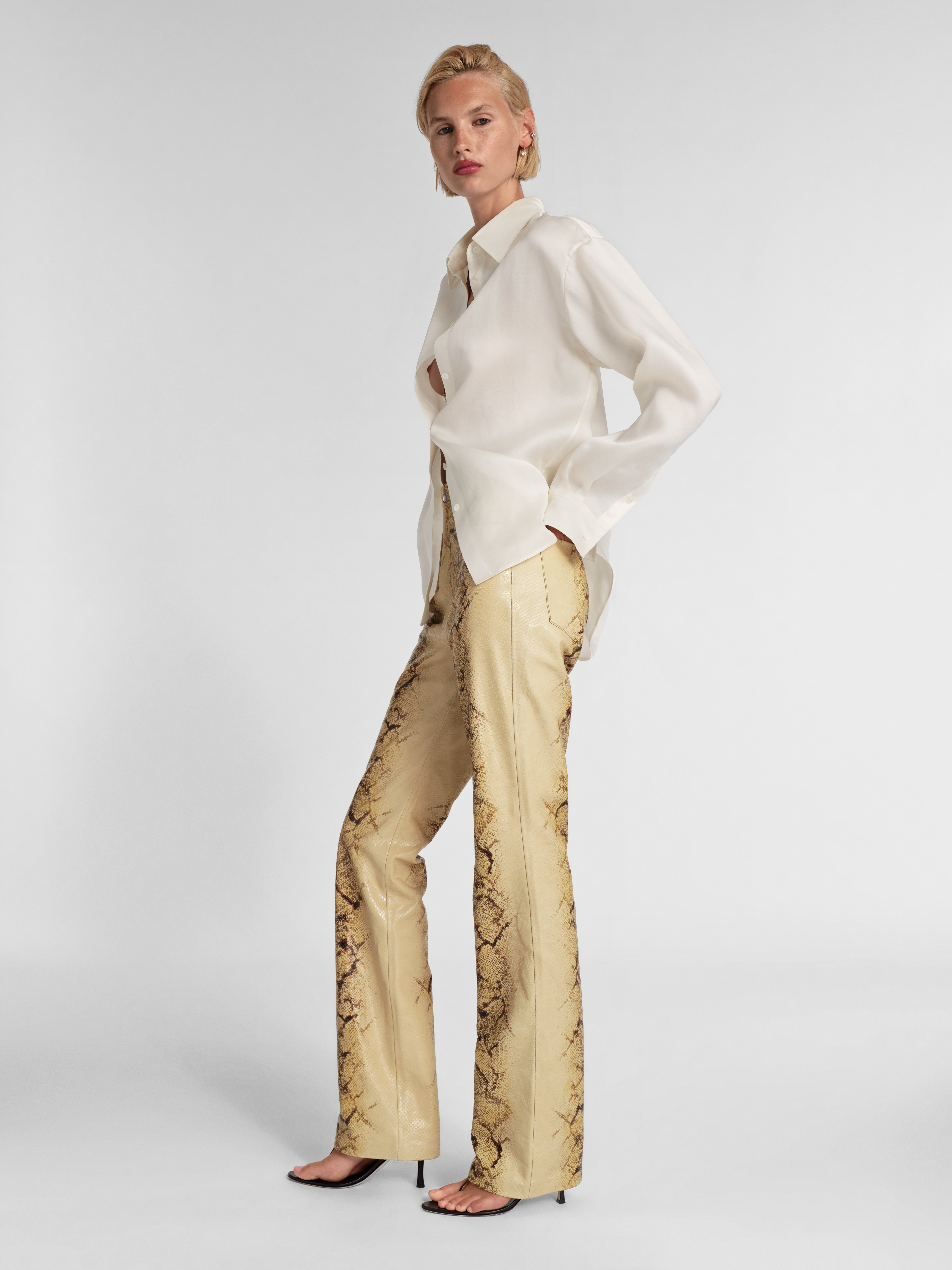 Brontë Pant in Python