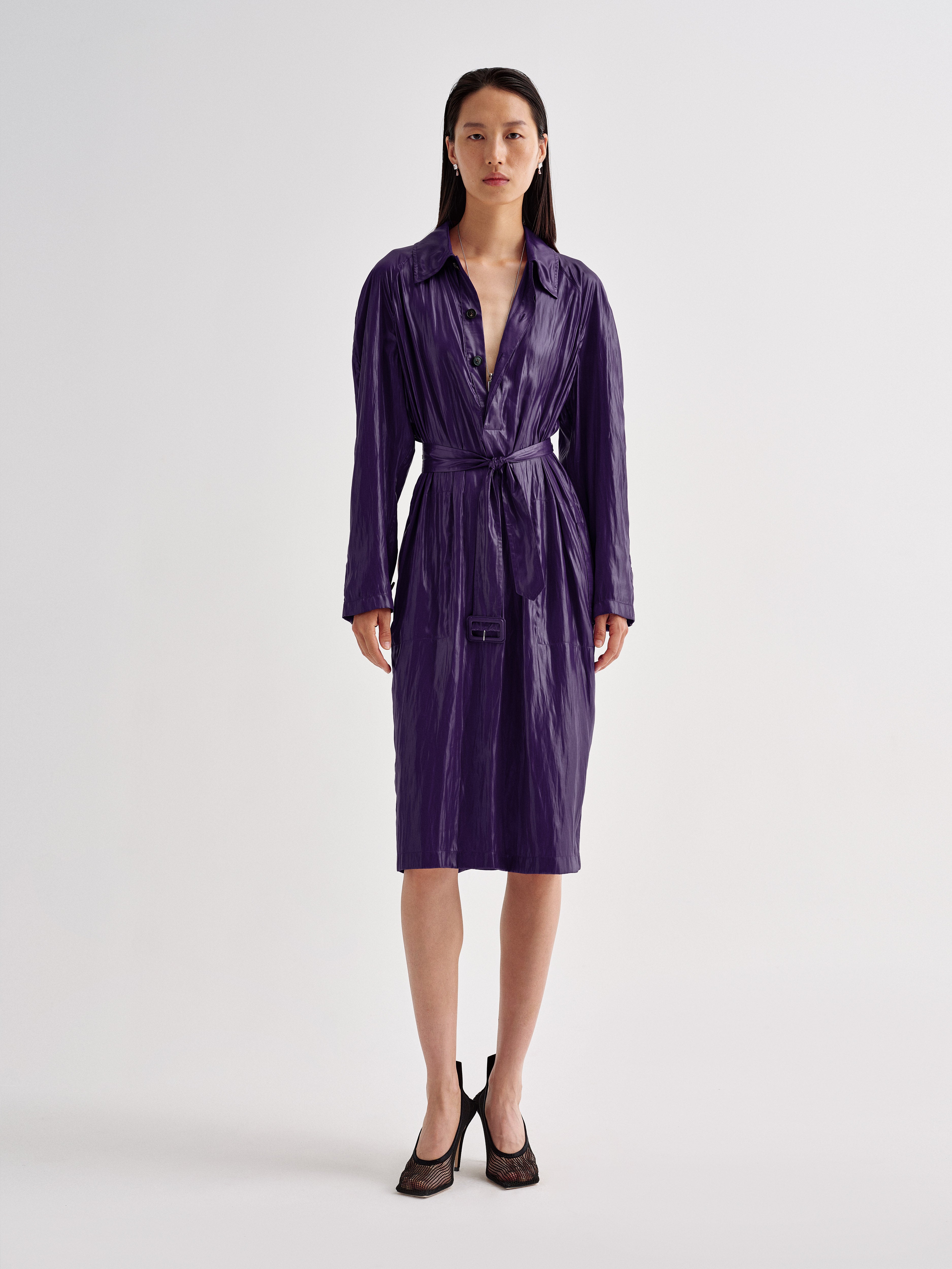 Nicolette Dress in Balloon
