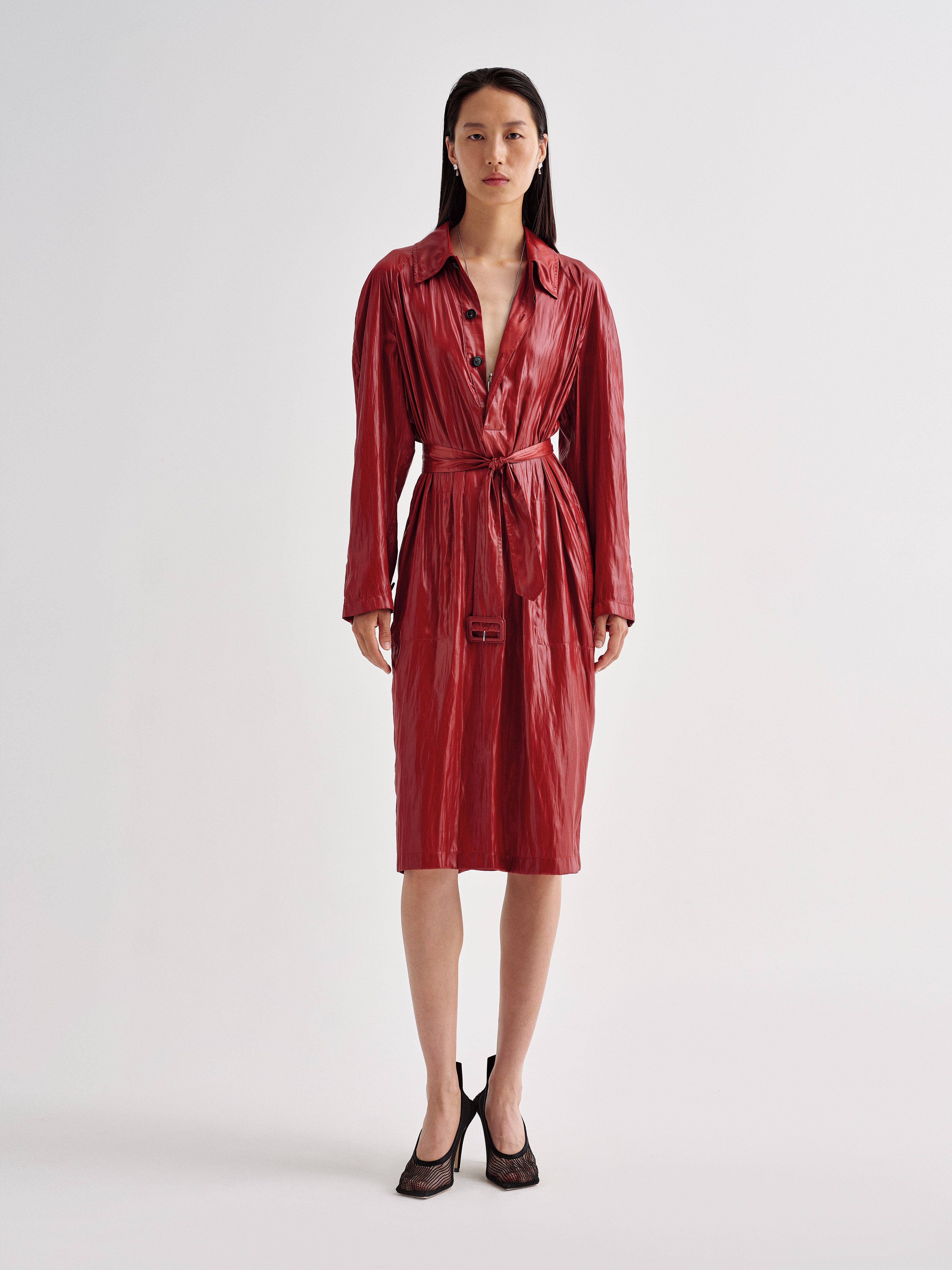 Nicolette Dress in Balloon