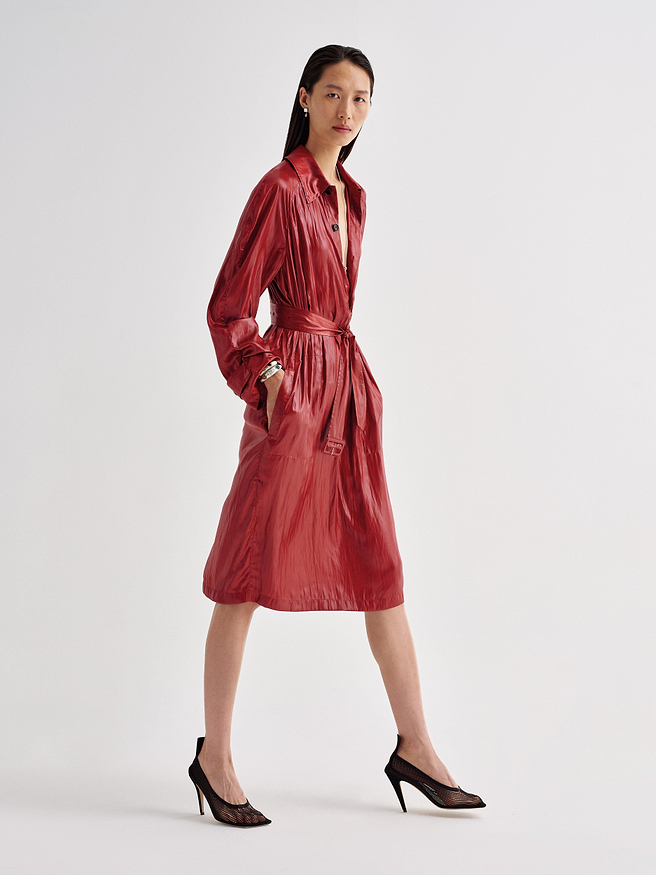 Nicolette Dress in Balloon