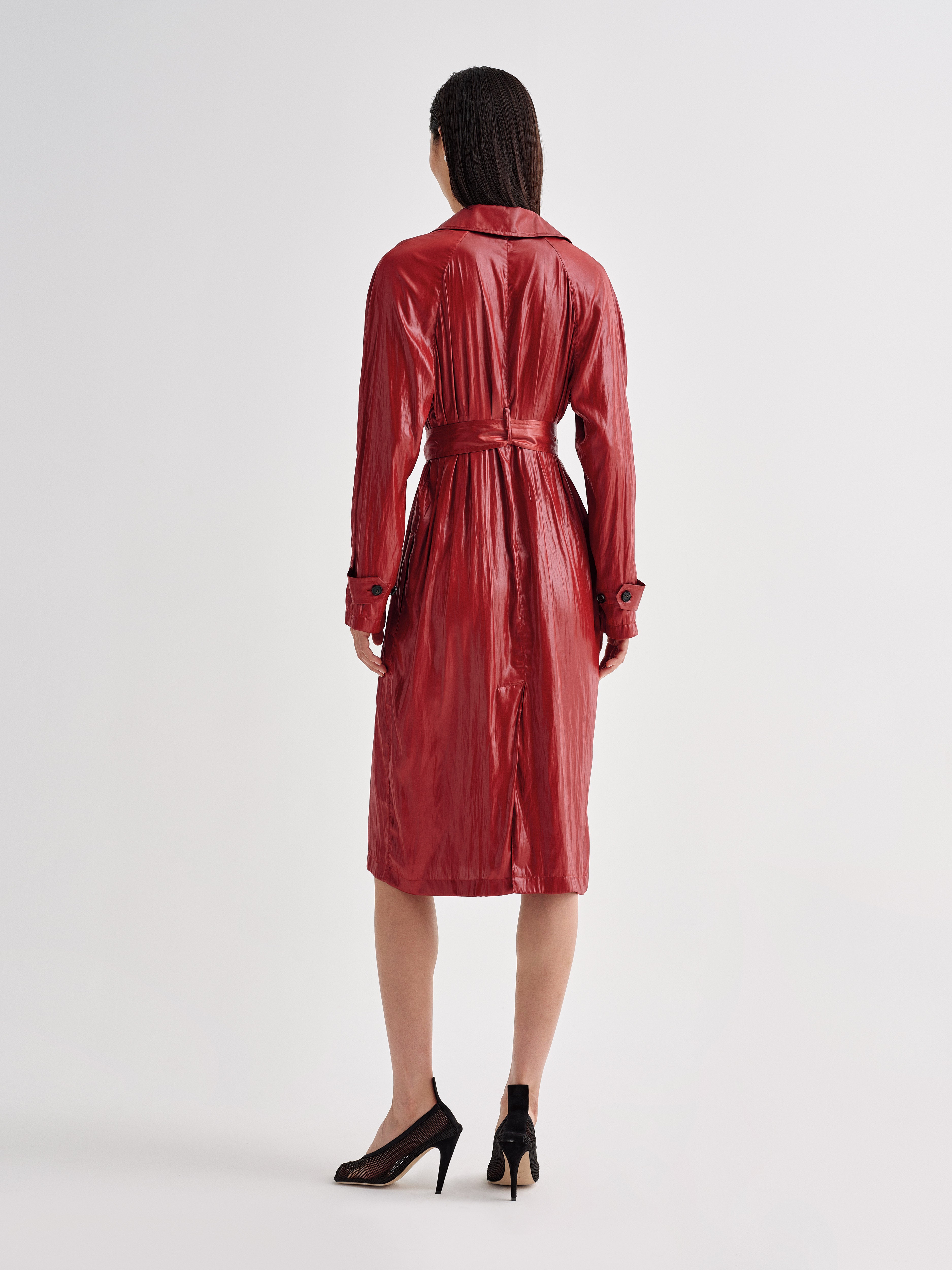 Nicolette Dress in Balloon