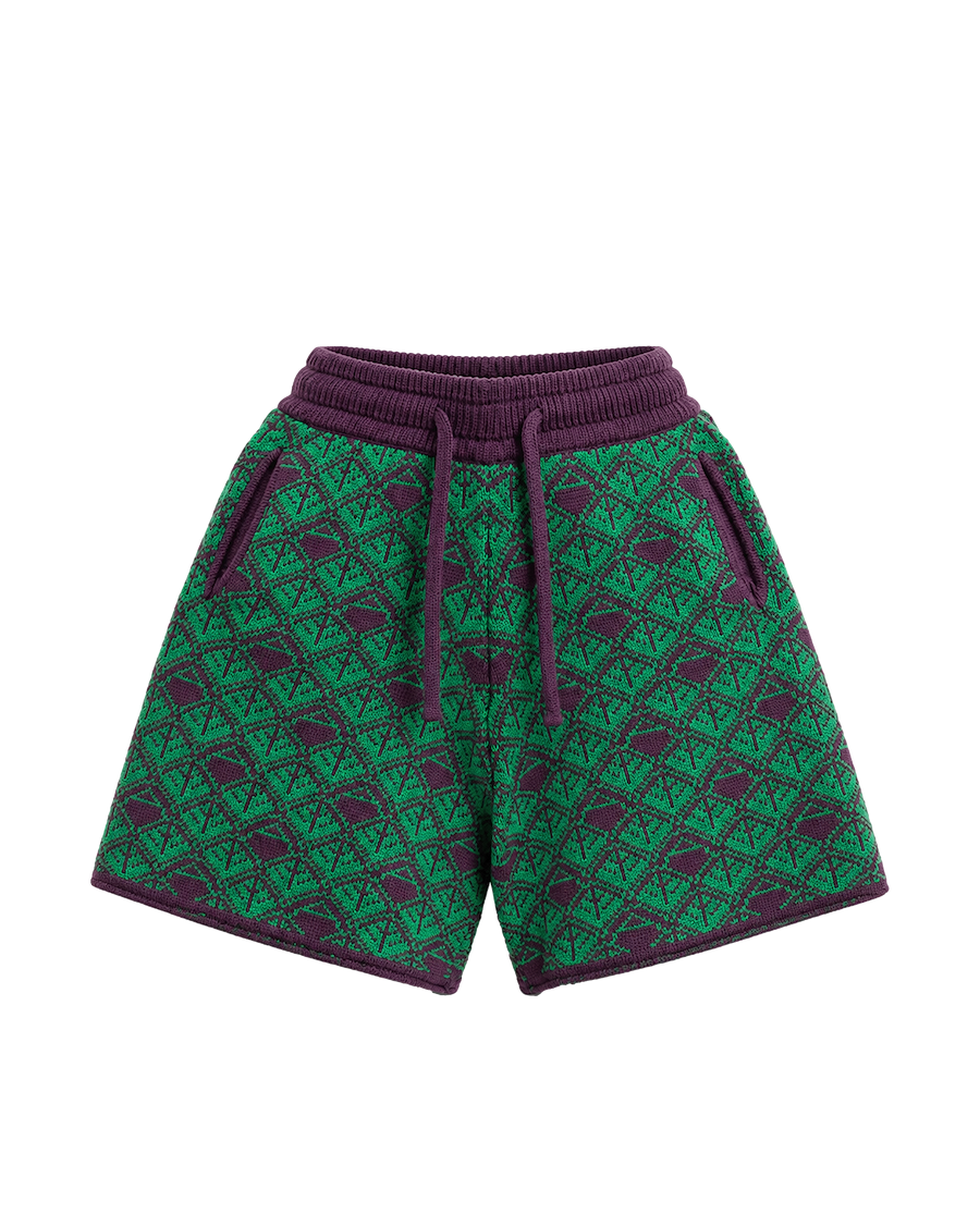 Ashluxe  Monogram Knitted Short Purple Green