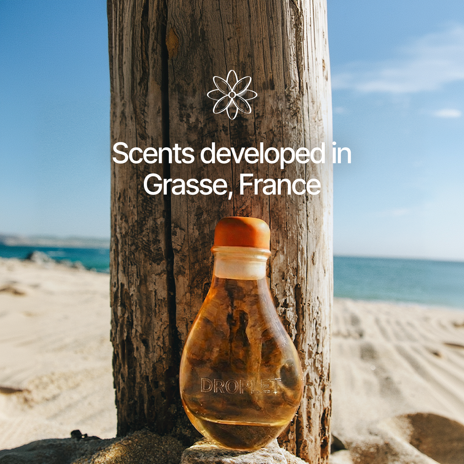 Mimosa Reed Diffuser