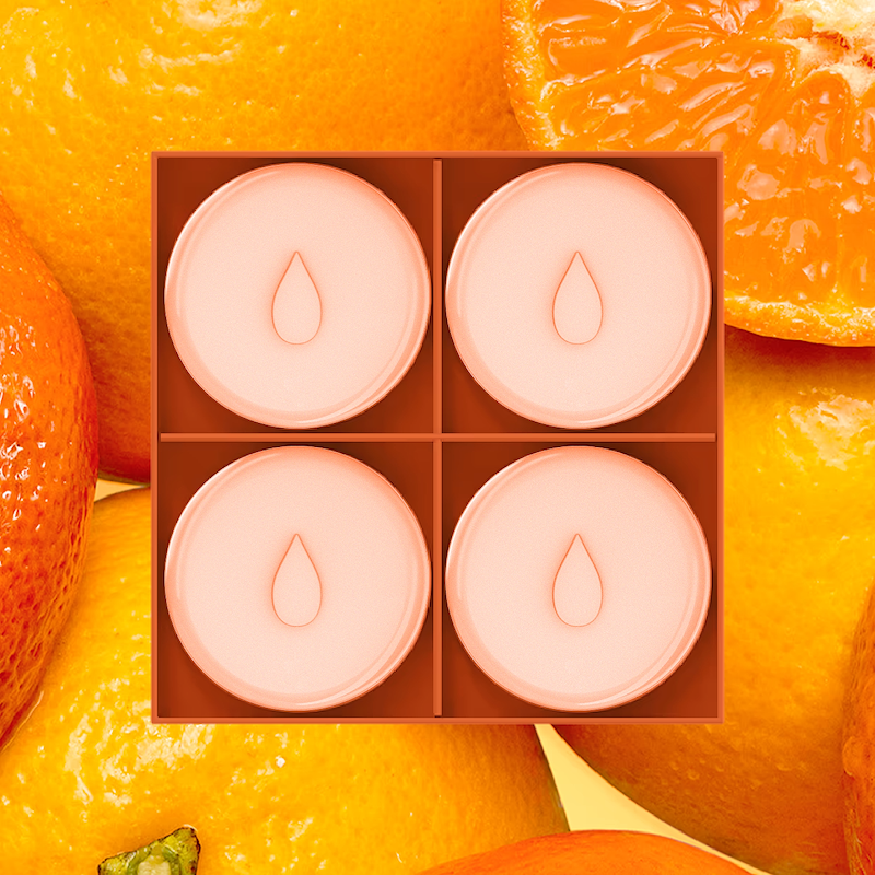 Wax Warmer