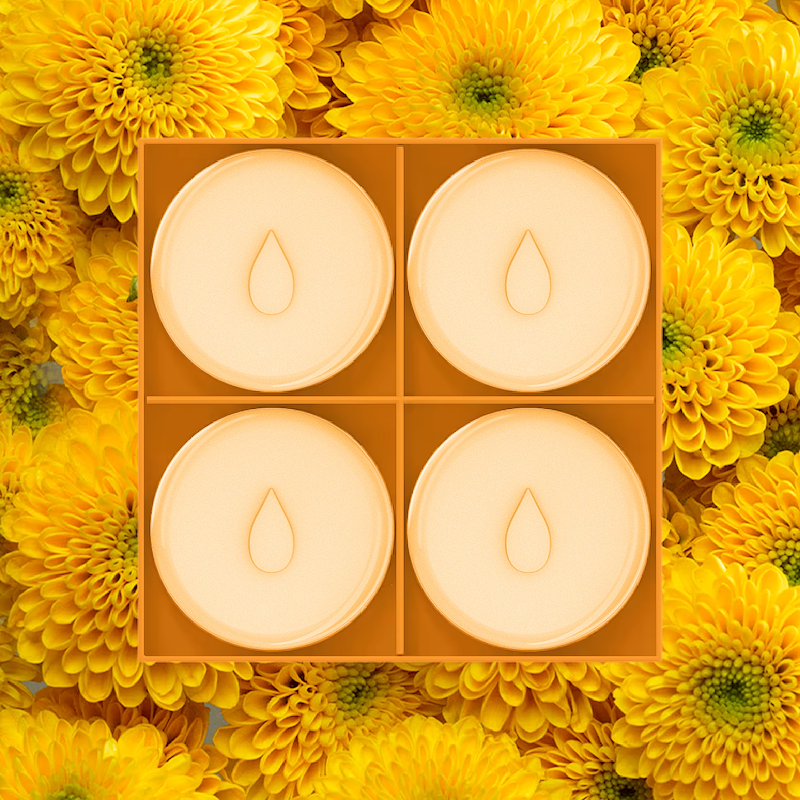 Wax Warmer